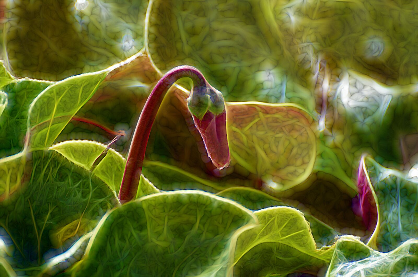 Nikon D7000 sample photo. Desktop, leaf, nature photography