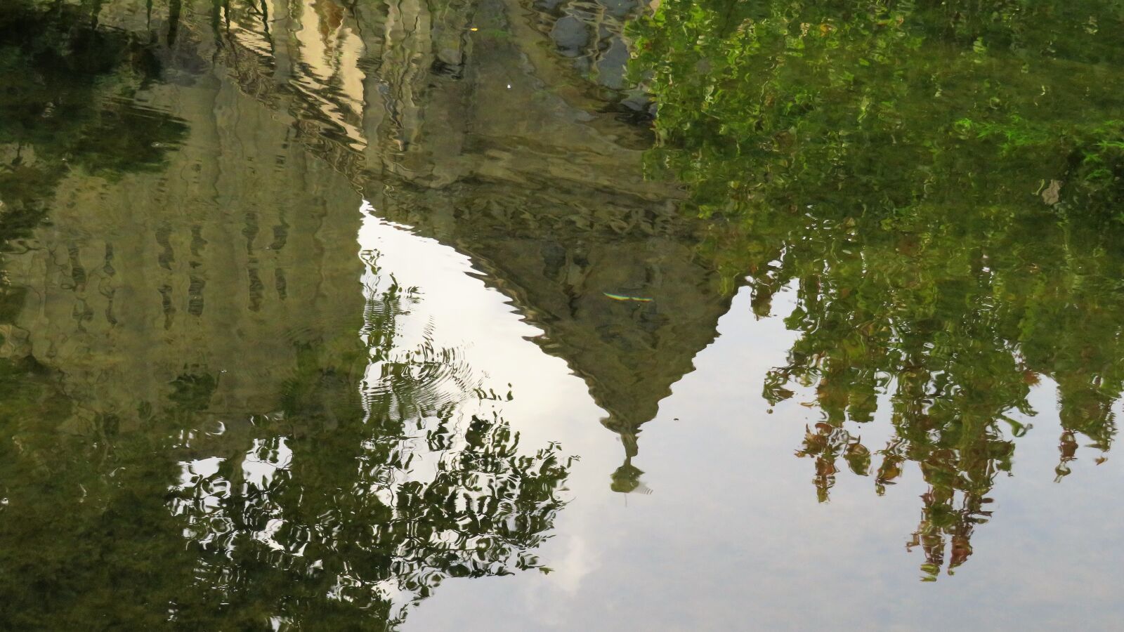 Canon PowerShot SX540 HS sample photo. Reflect, reflection, water photography