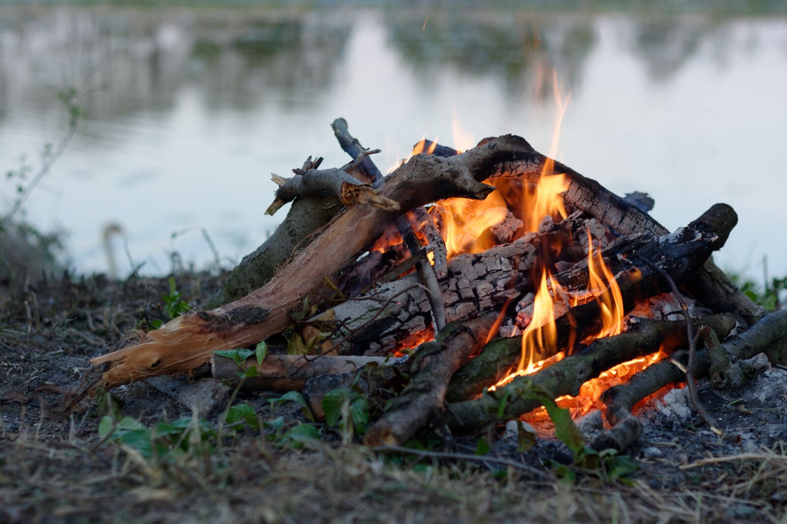 Nikon D5200 sample photo. Heat, flames, burn photography
