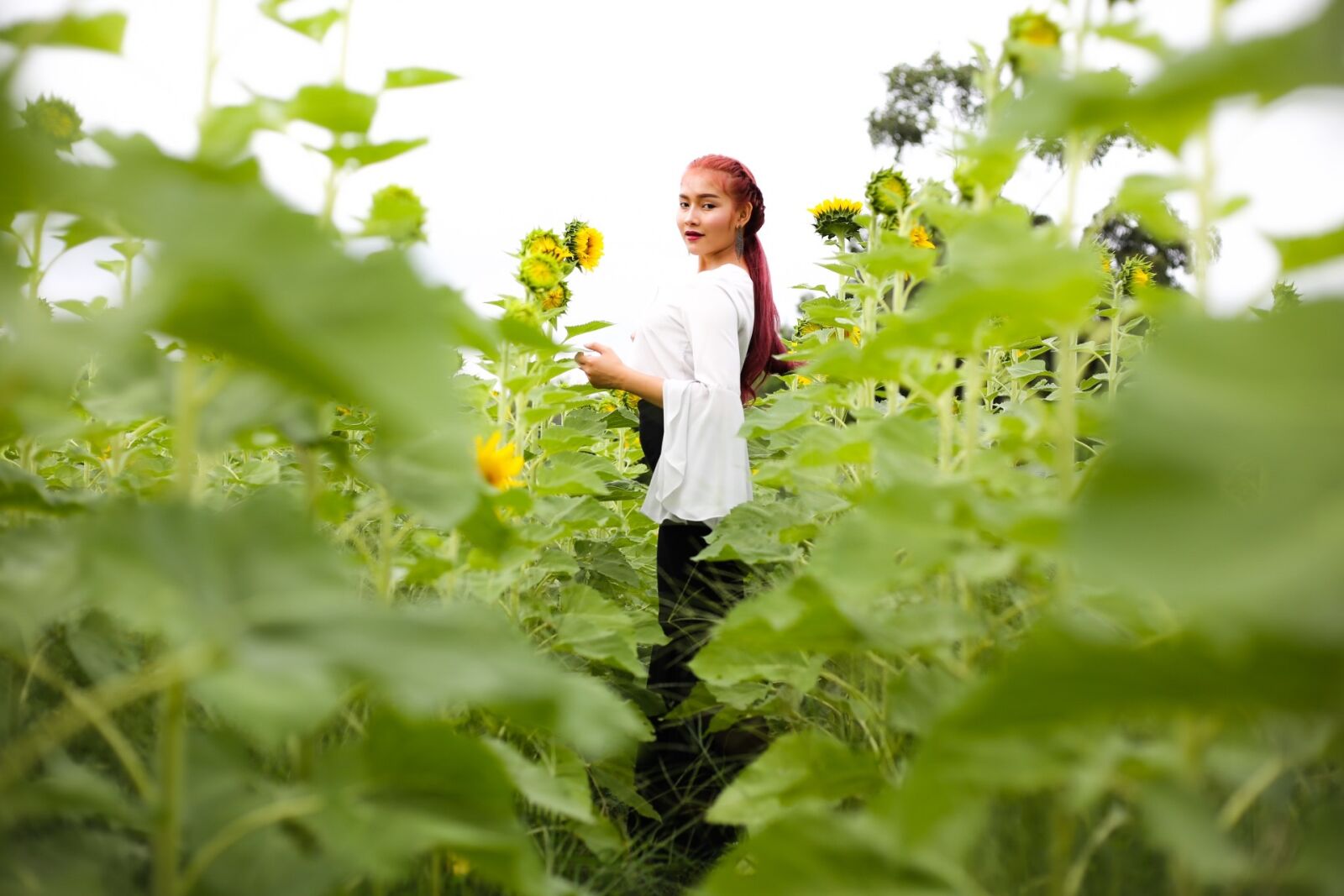 Canon EOS 6D + Canon EF 50mm F1.8 STM sample photo. Flower garden, magnificent, beautiful photography