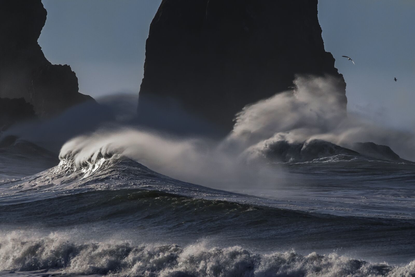 Nikon D610 sample photo. Beach, pacific coastline, ocean photography