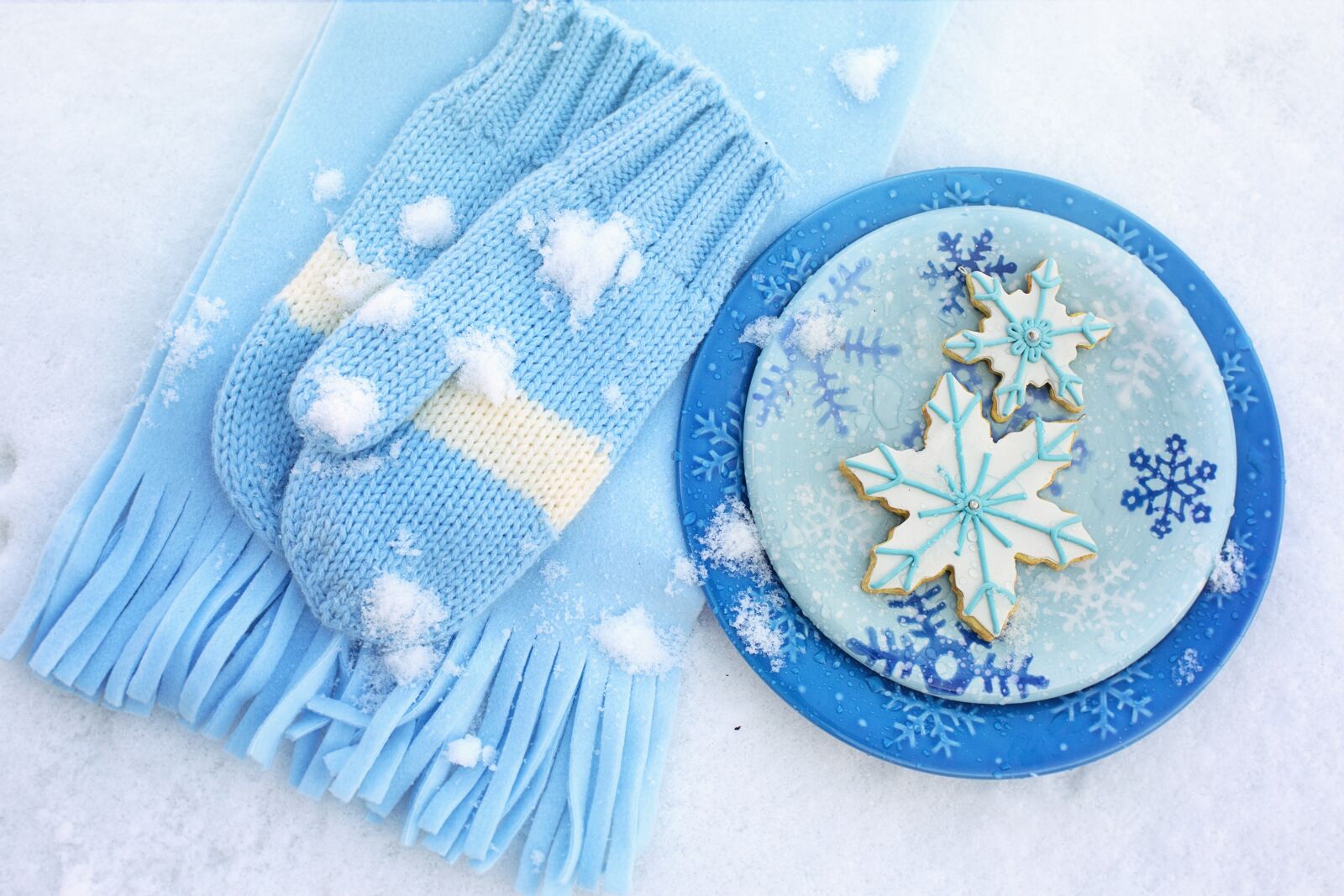 Canon EF 50mm F1.4 USM sample photo. Winter, snow, cookies photography
