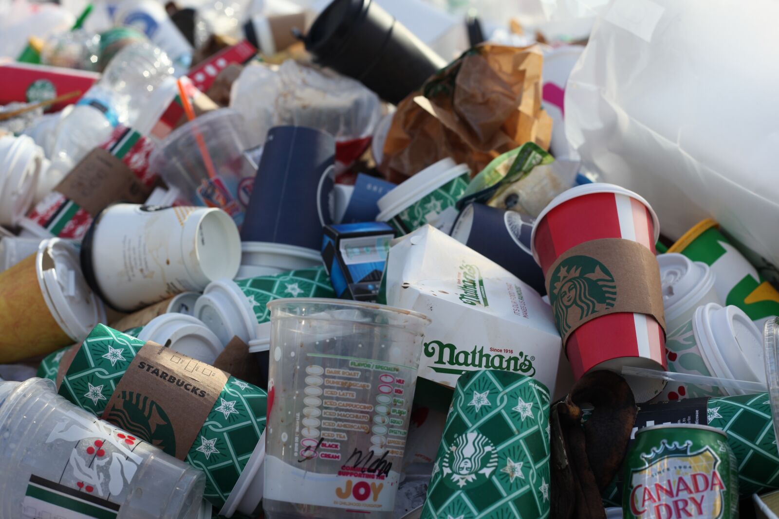 Canon EOS 5D Mark II sample photo. Coffeetogo, disposable cups, pollution photography