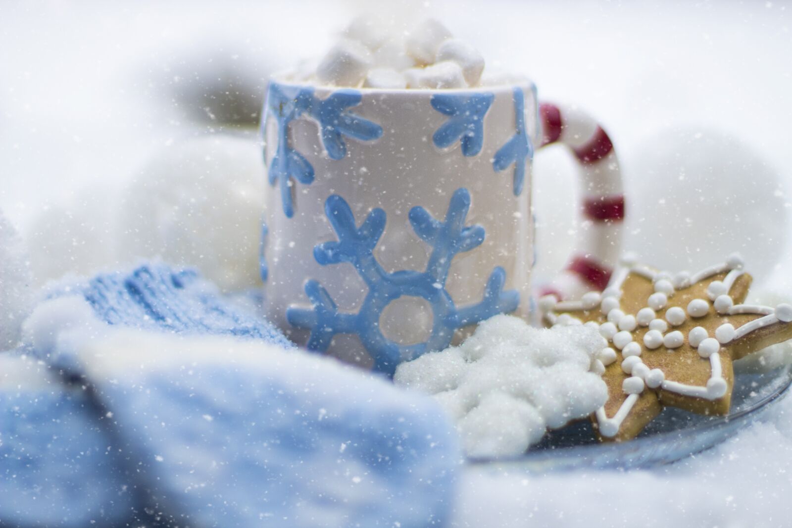 Canon EF 50mm F1.4 USM sample photo. Cocoa, hot chocolate, cookies photography