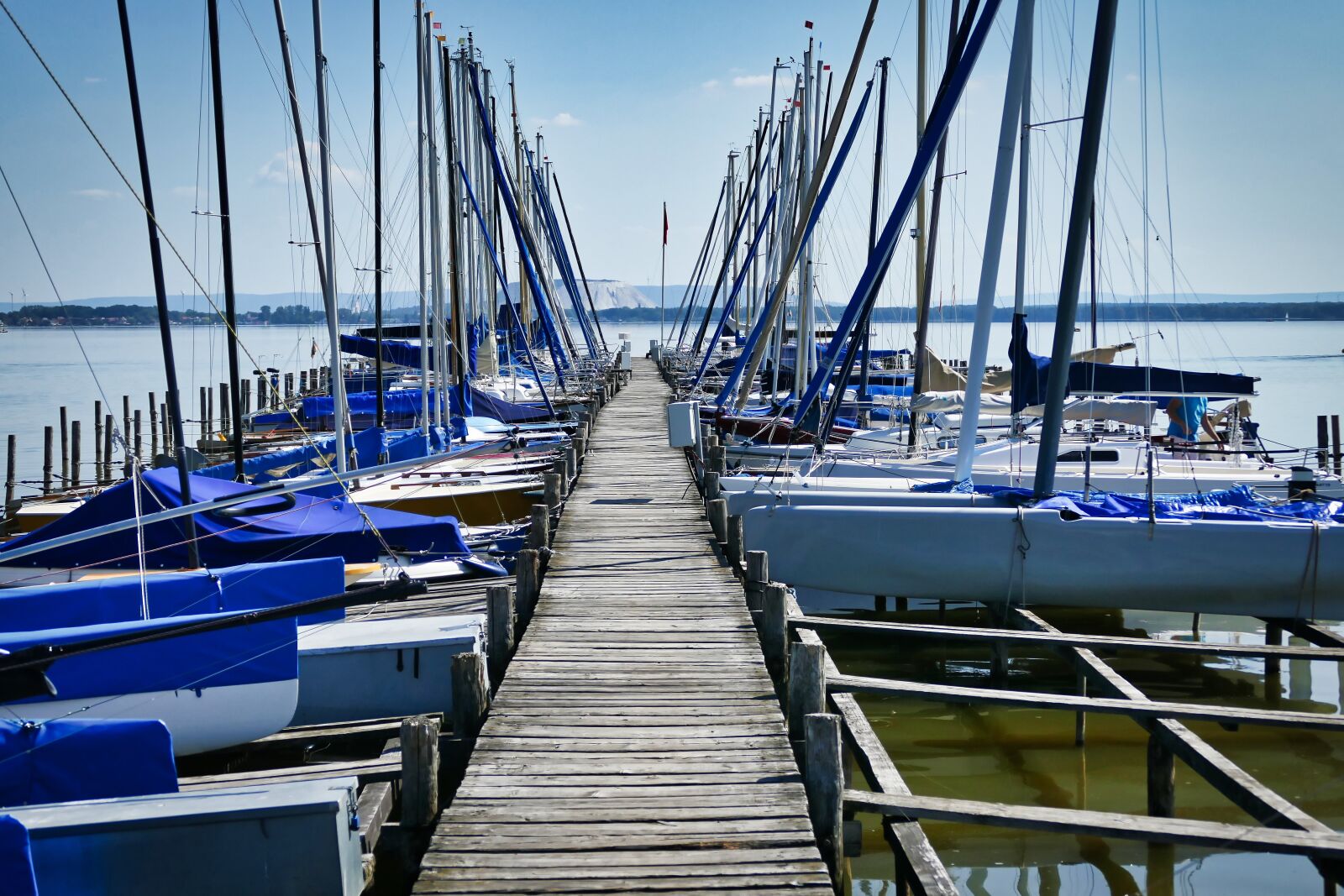 Panasonic Lumix DMC-FZ1000 sample photo. Lake, steeg, steinhuder sea photography