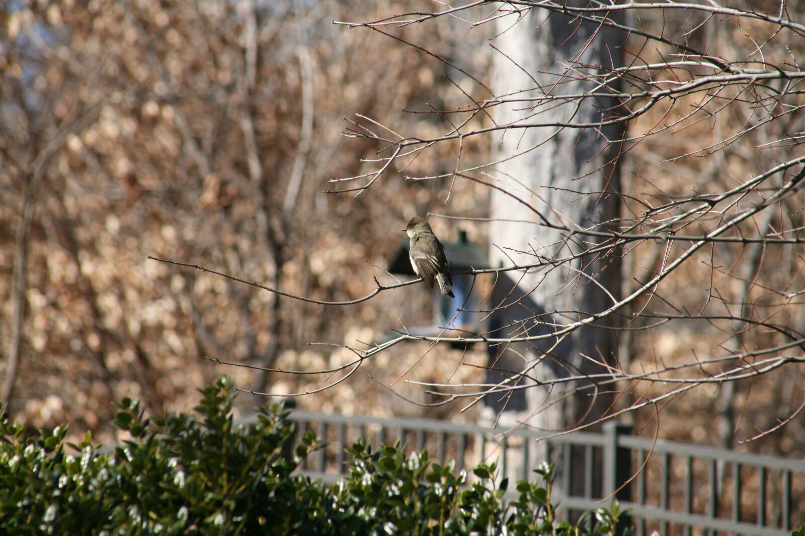 Canon EOS 5D sample photo