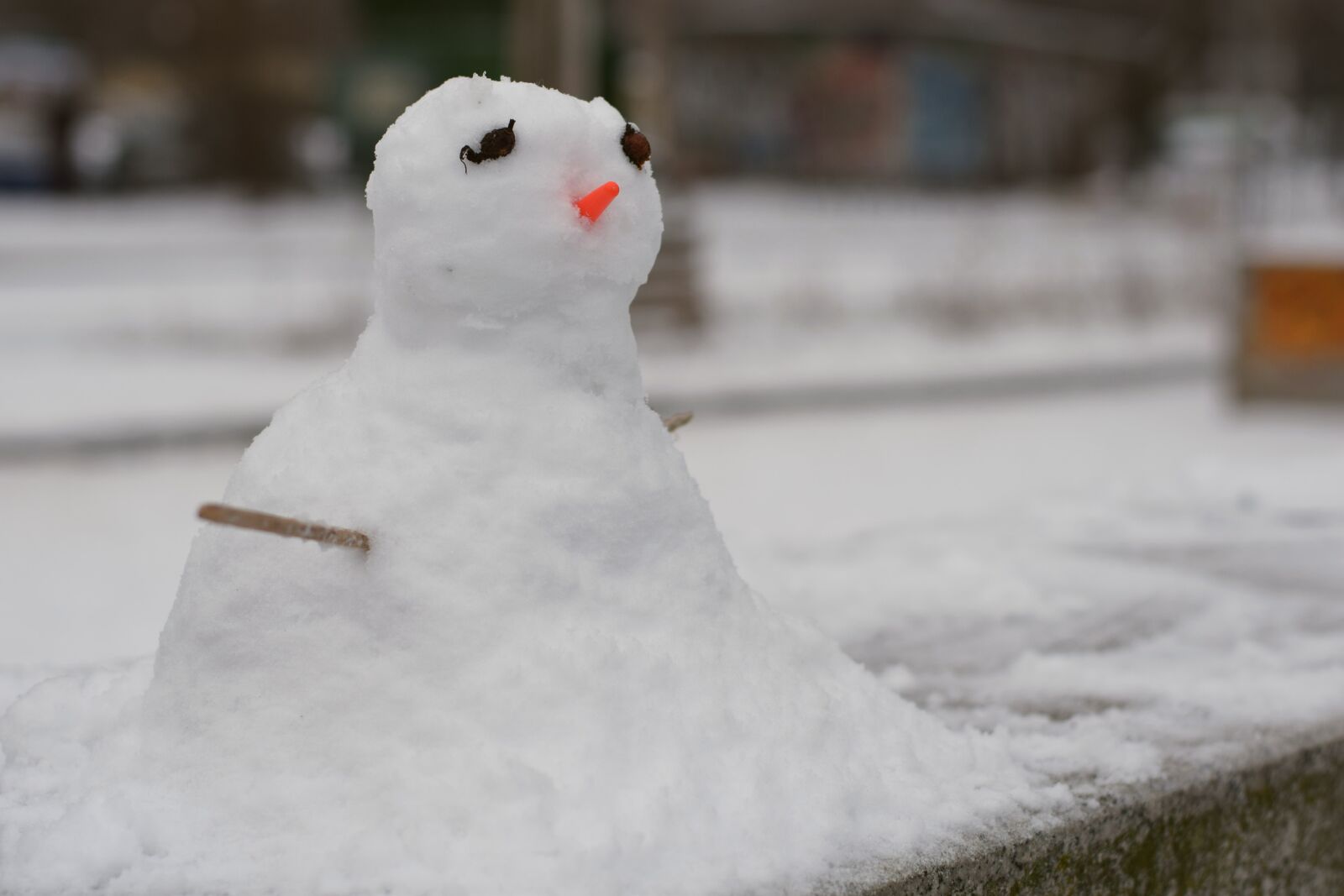 Nikon D3300 sample photo. Winter, snow, cold photography