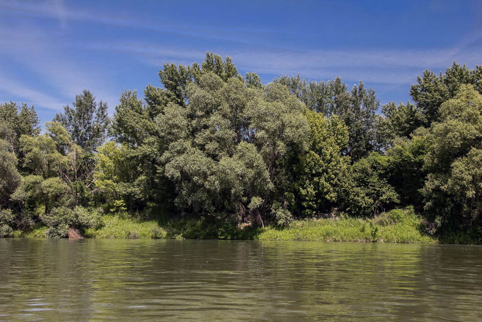 Canon EOS 600D (Rebel EOS T3i / EOS Kiss X5) sample photo. Danube, slovakia, nature photography