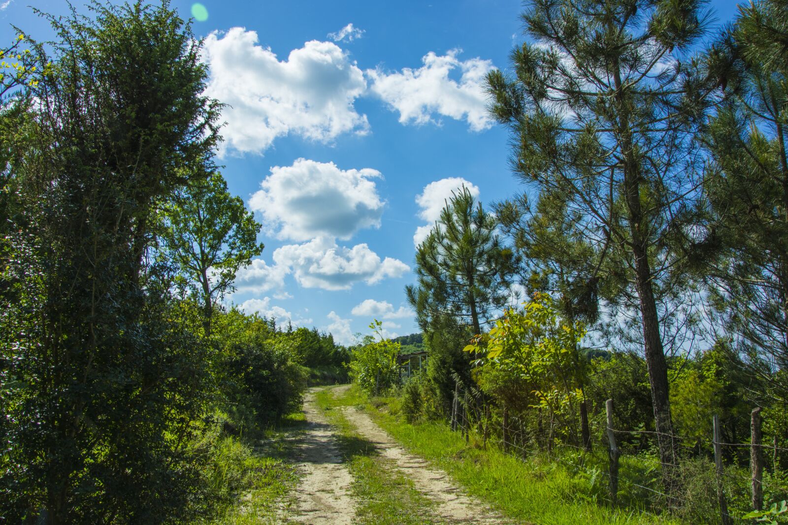 Nikon D5200 sample photo. Road, cloud, landscape photography