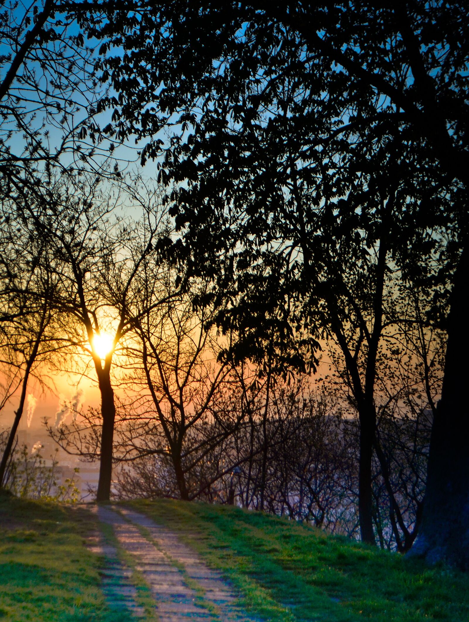 Nikon D7000 sample photo. Sun, sunrise, nature photography