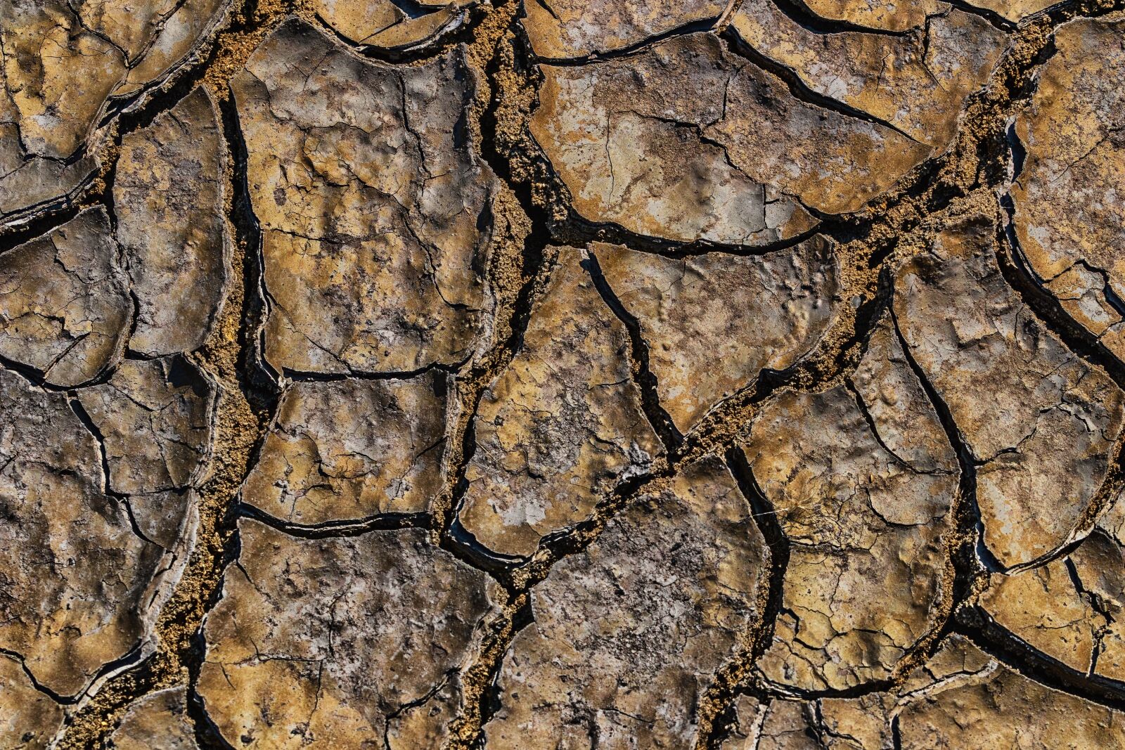 Canon EOS 80D sample photo. Hot, heat, drought photography