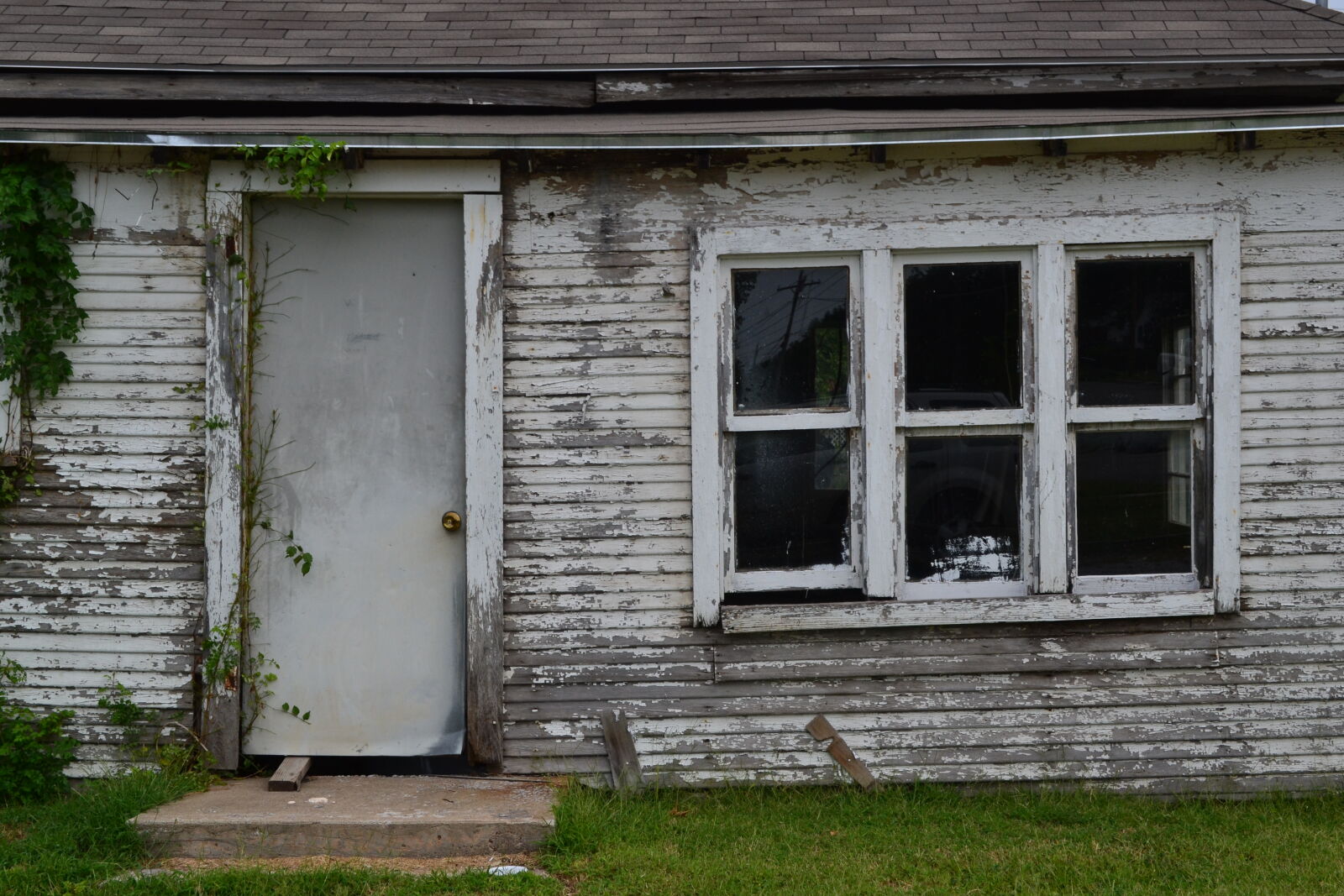 Nikon D3100 sample photo. Green, grey, house, old photography