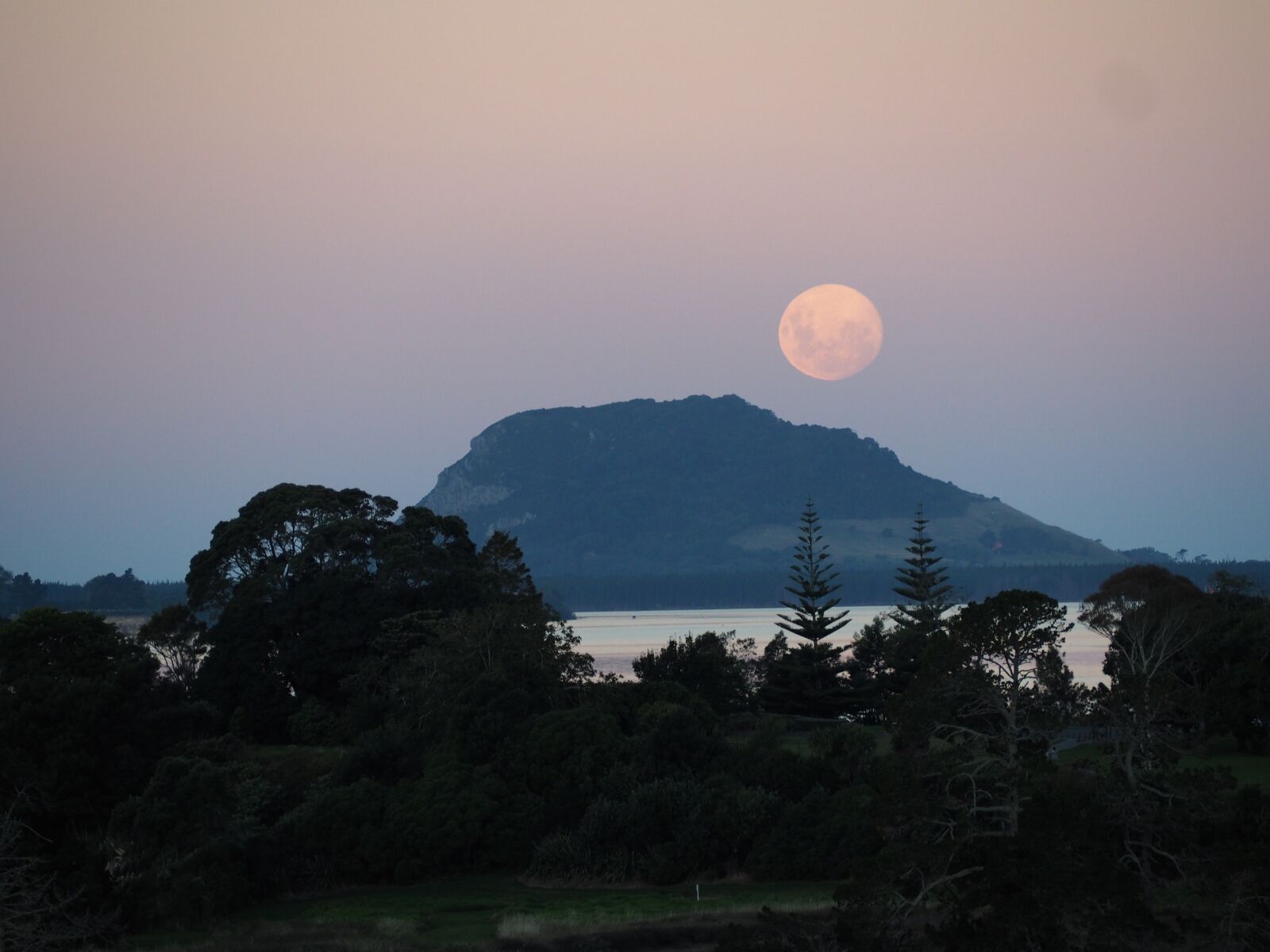 Olympus OM-D E-M10 sample photo. Moon, sun, astrology photography