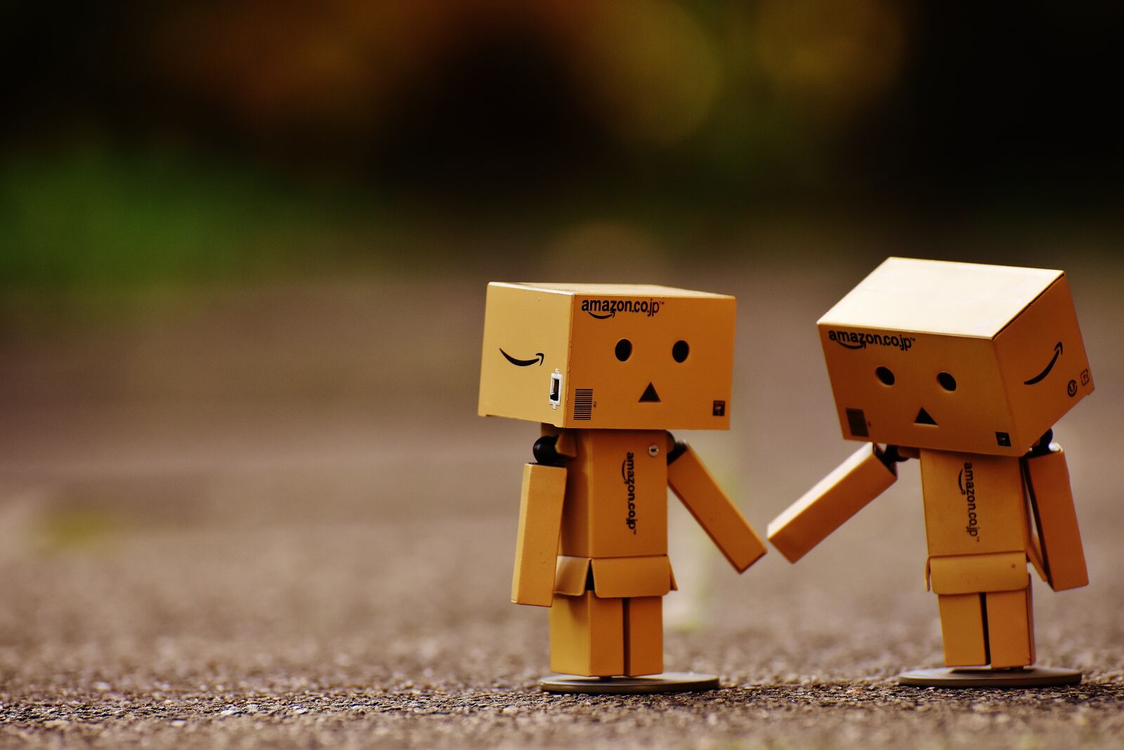 Nikon D7200 sample photo. Danbo, figure, together photography