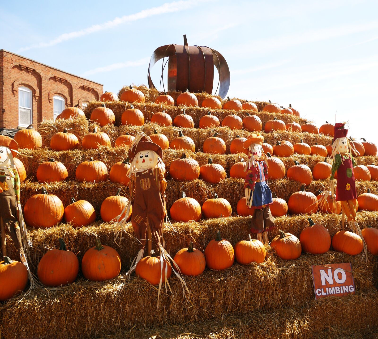 Panasonic Lumix DMC-GF5 sample photo. Halloween, orange, october photography