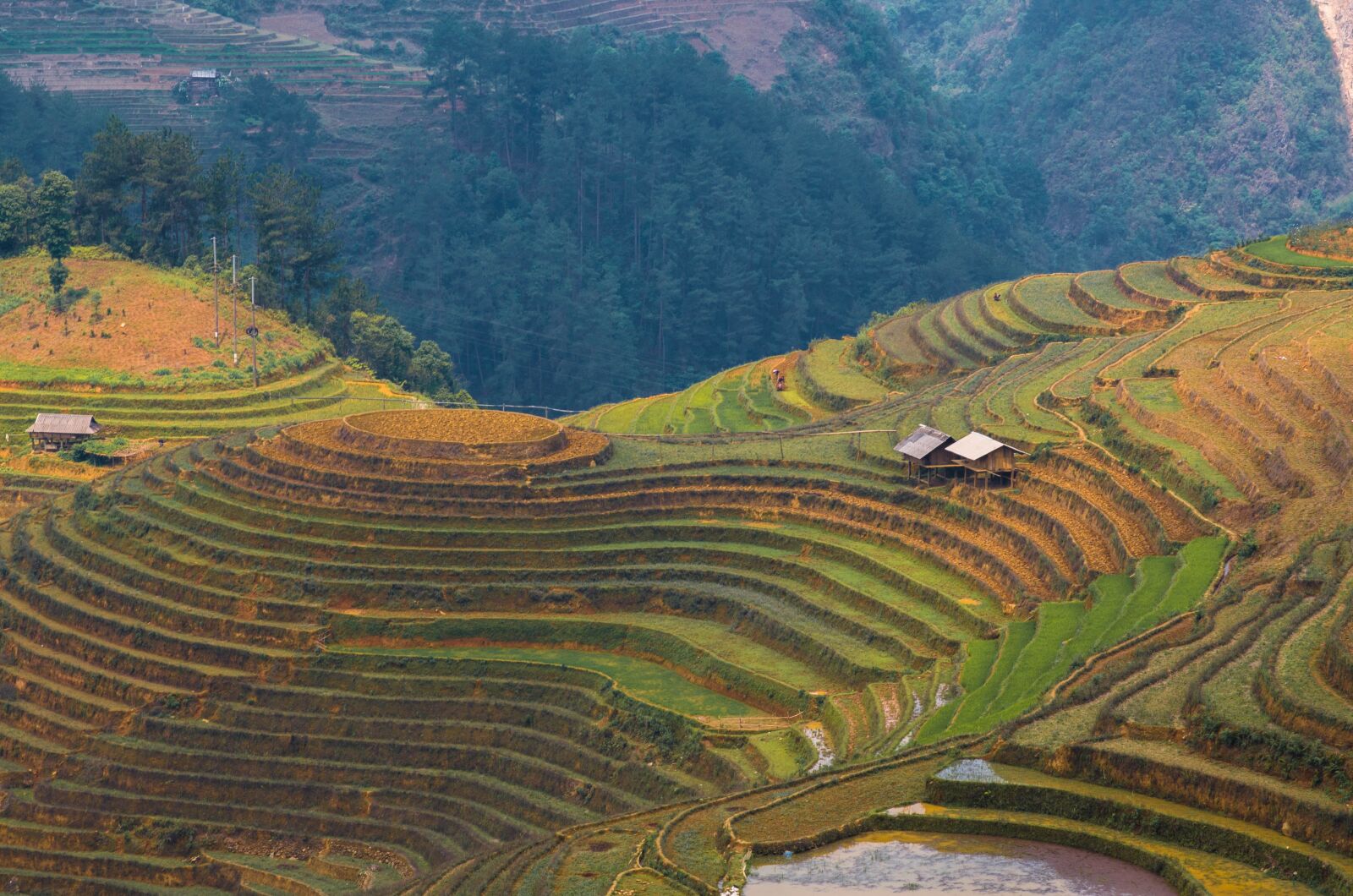 Nikon D7000 sample photo. Agriculture, moutain, valley photography