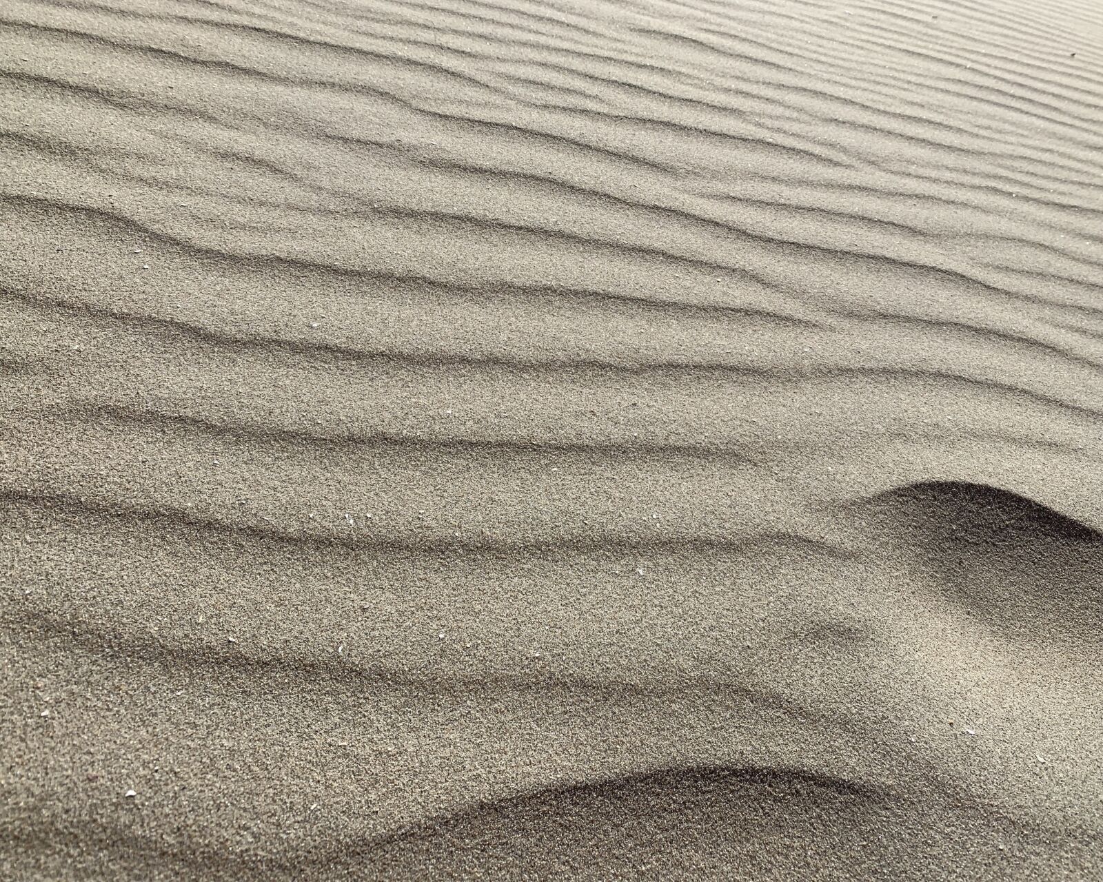 iPhone XR back camera 4.25mm f/1.8 sample photo. Beach, sand, background photography