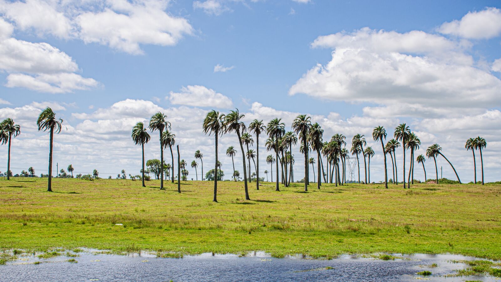 Nikon D7000 sample photo. Lanscape, cloud, sky photography