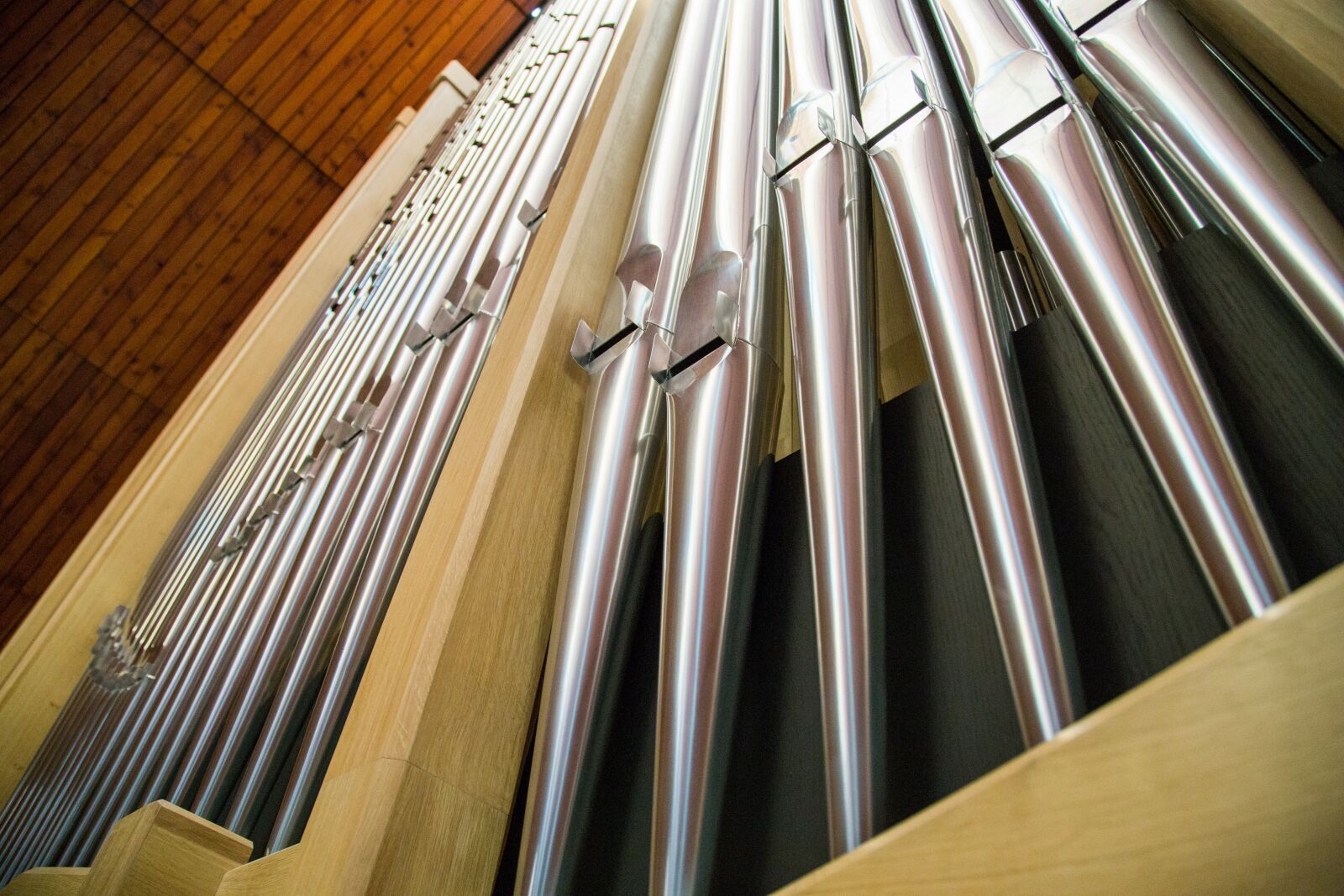 Canon EOS 6D + Canon EF 24-105mm F4L IS USM sample photo. Organ, population, internet bank photography