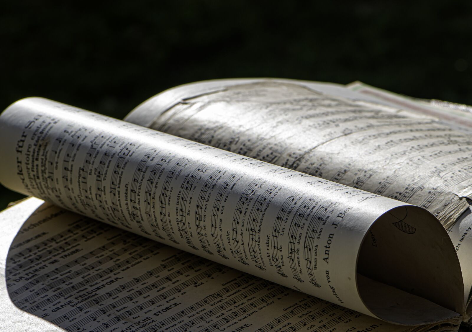 Nikon D5600 sample photo. Book day, notes, music photography