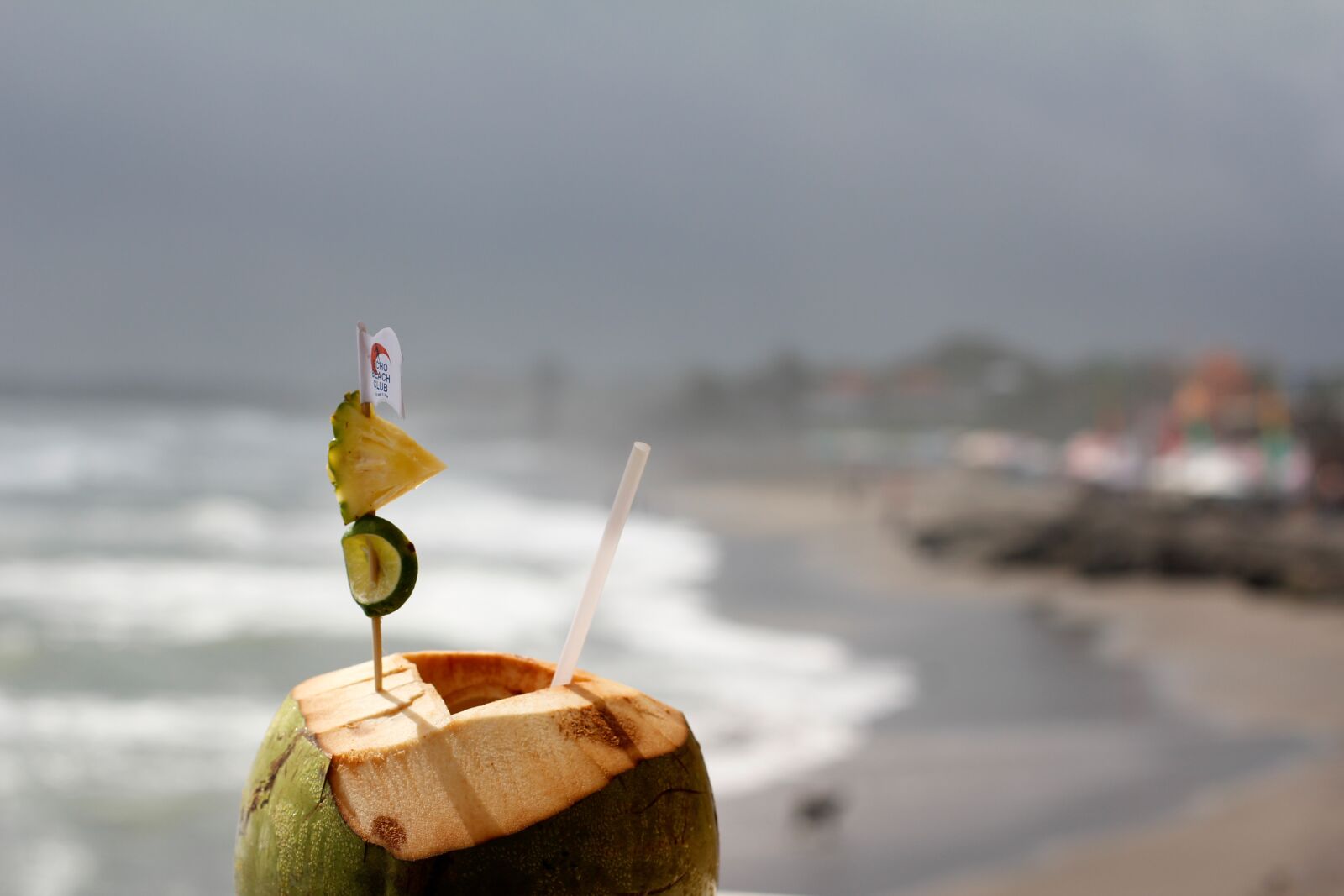 Canon EOS 60D + Canon EF 50mm F1.4 USM sample photo. Coconut, drink, healthy photography