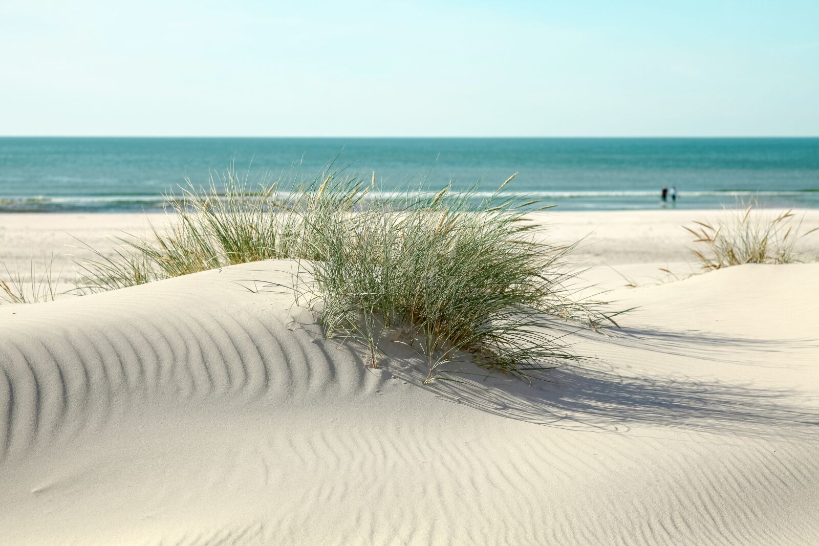 Canon EOS 5D Mark II sample photo. Beach, dunes, gentle photography