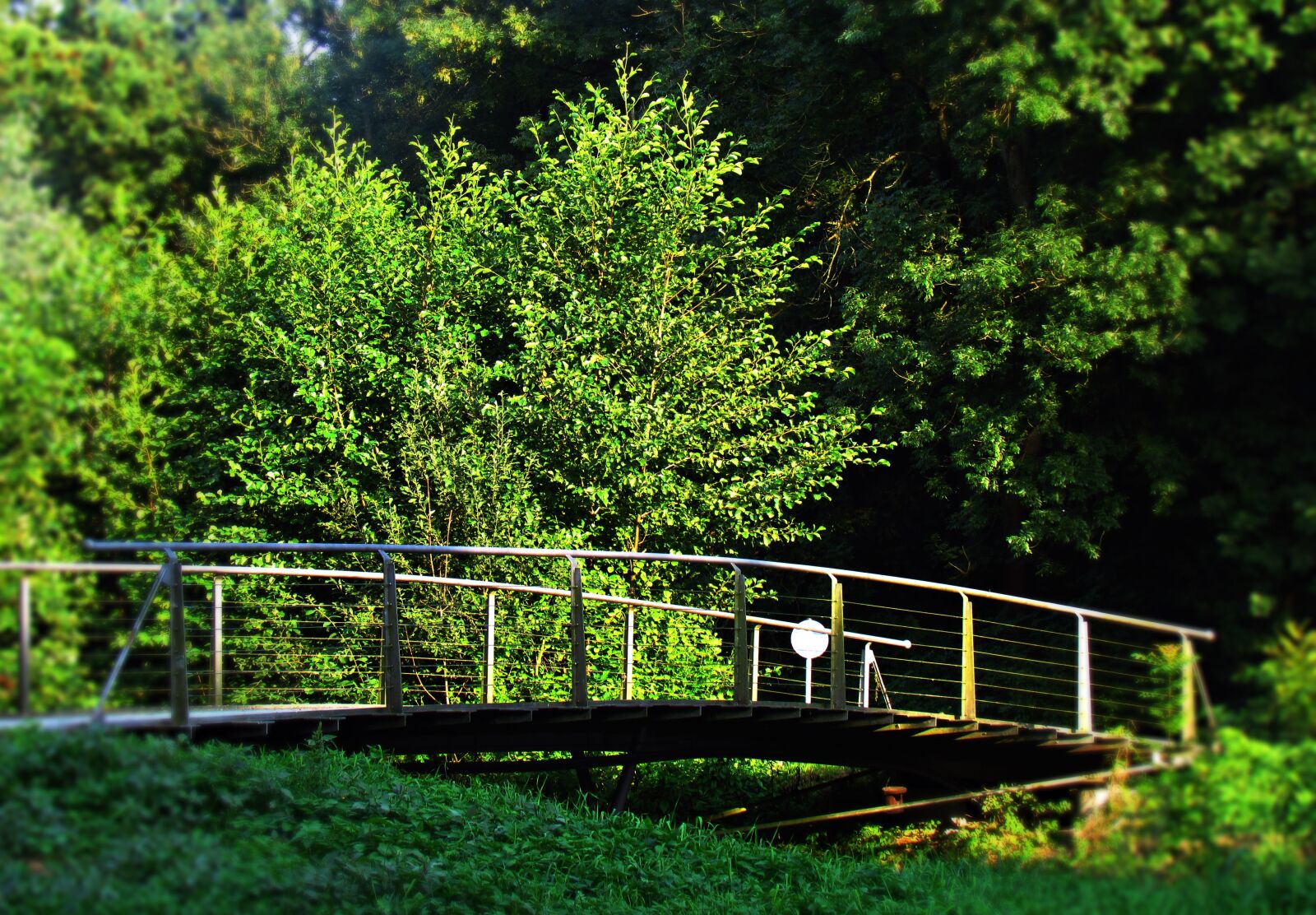 Canon PowerShot SX30 IS sample photo. Landscape, nature, bridge photography