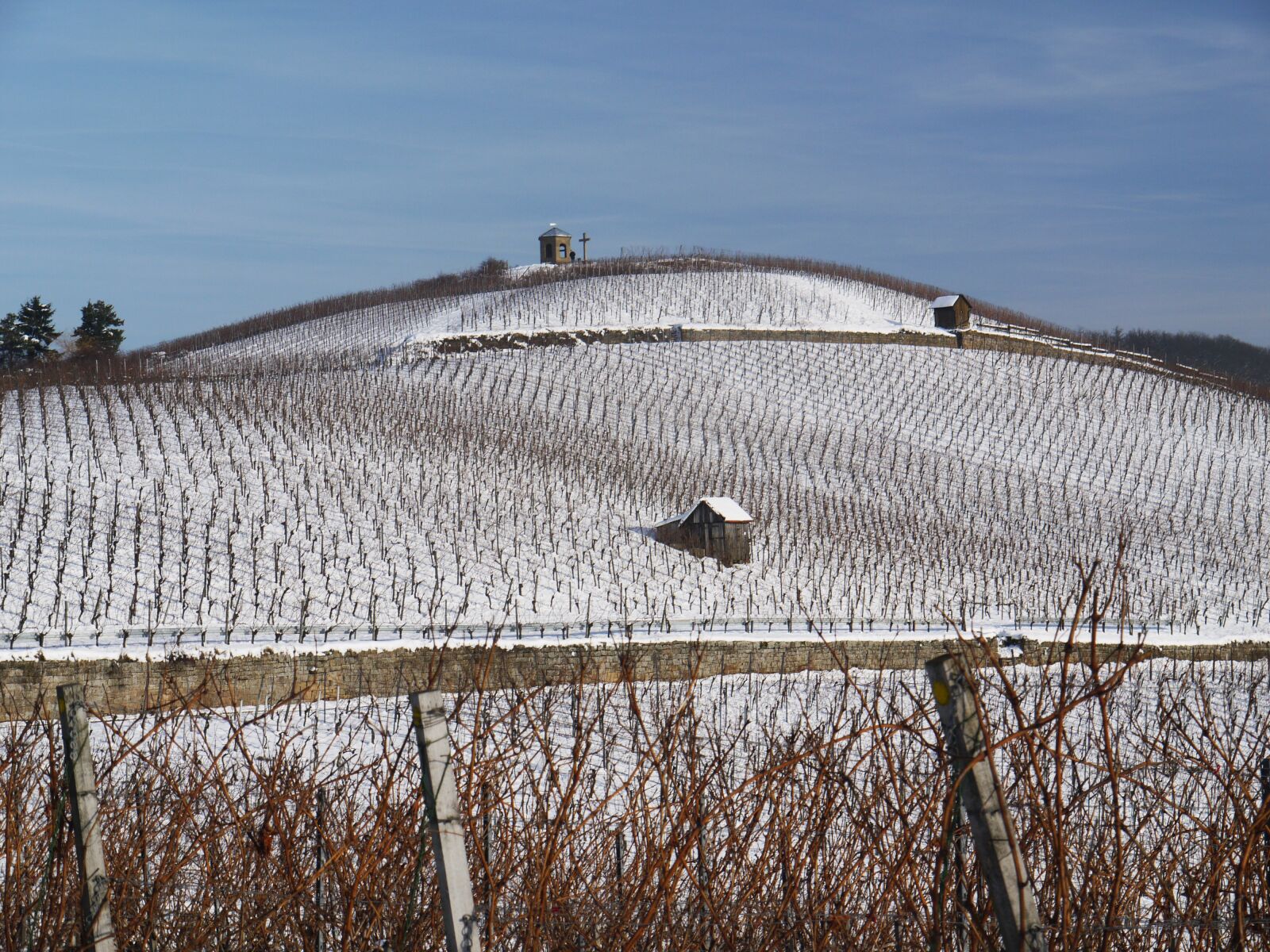 Panasonic Lumix DMC-G1 sample photo. Vineyard, winter, snow photography