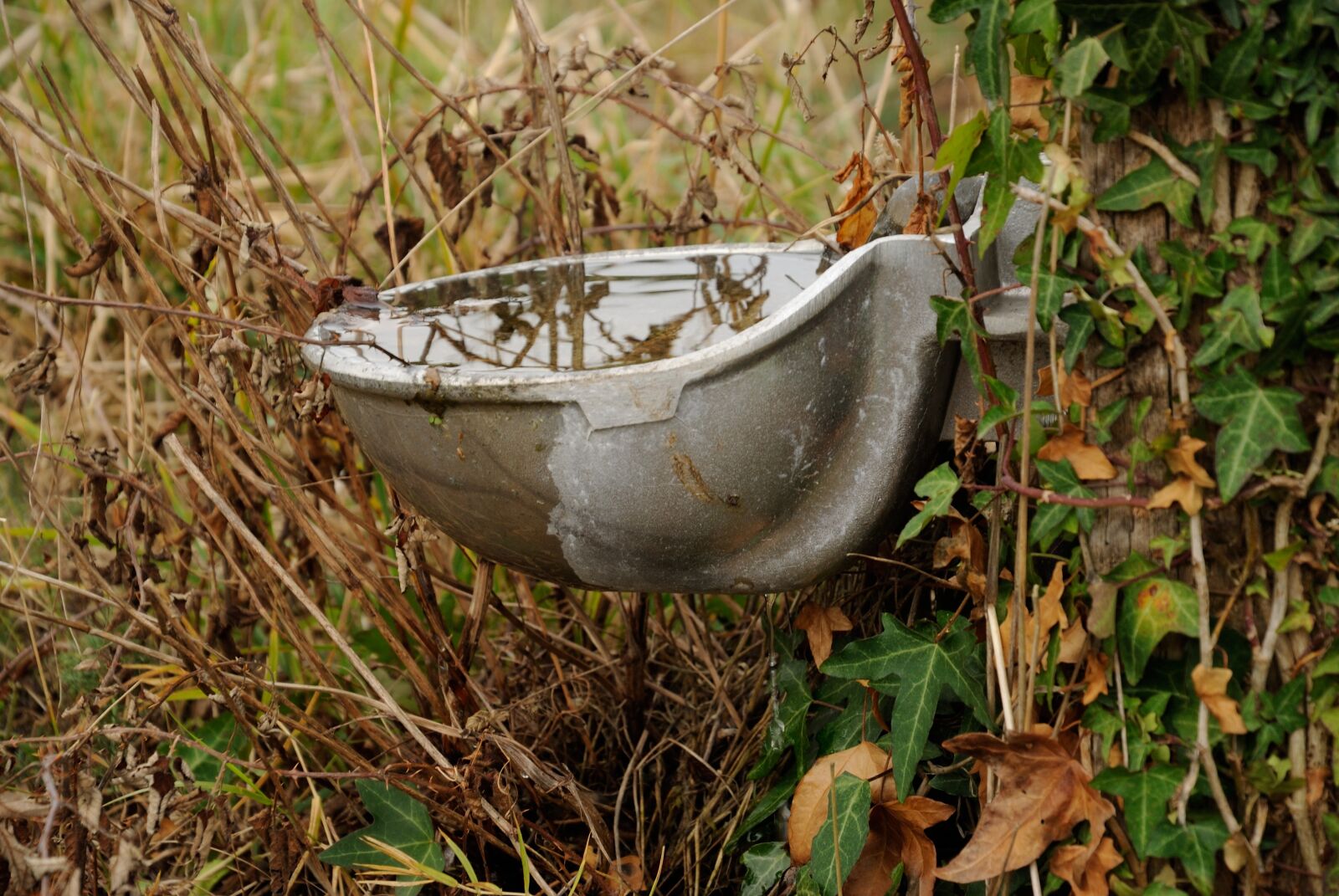 Nikon D3000 sample photo. Water, highlights, nature photography