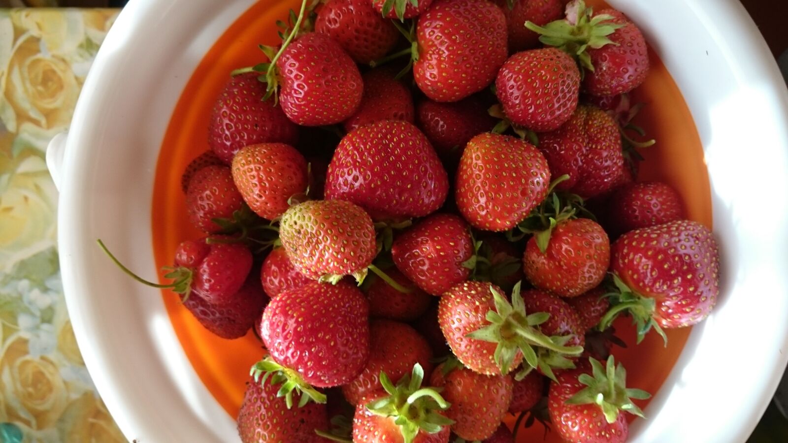 Sony Xperia Z1 sample photo. Strawberry, wild strawberry, garden photography
