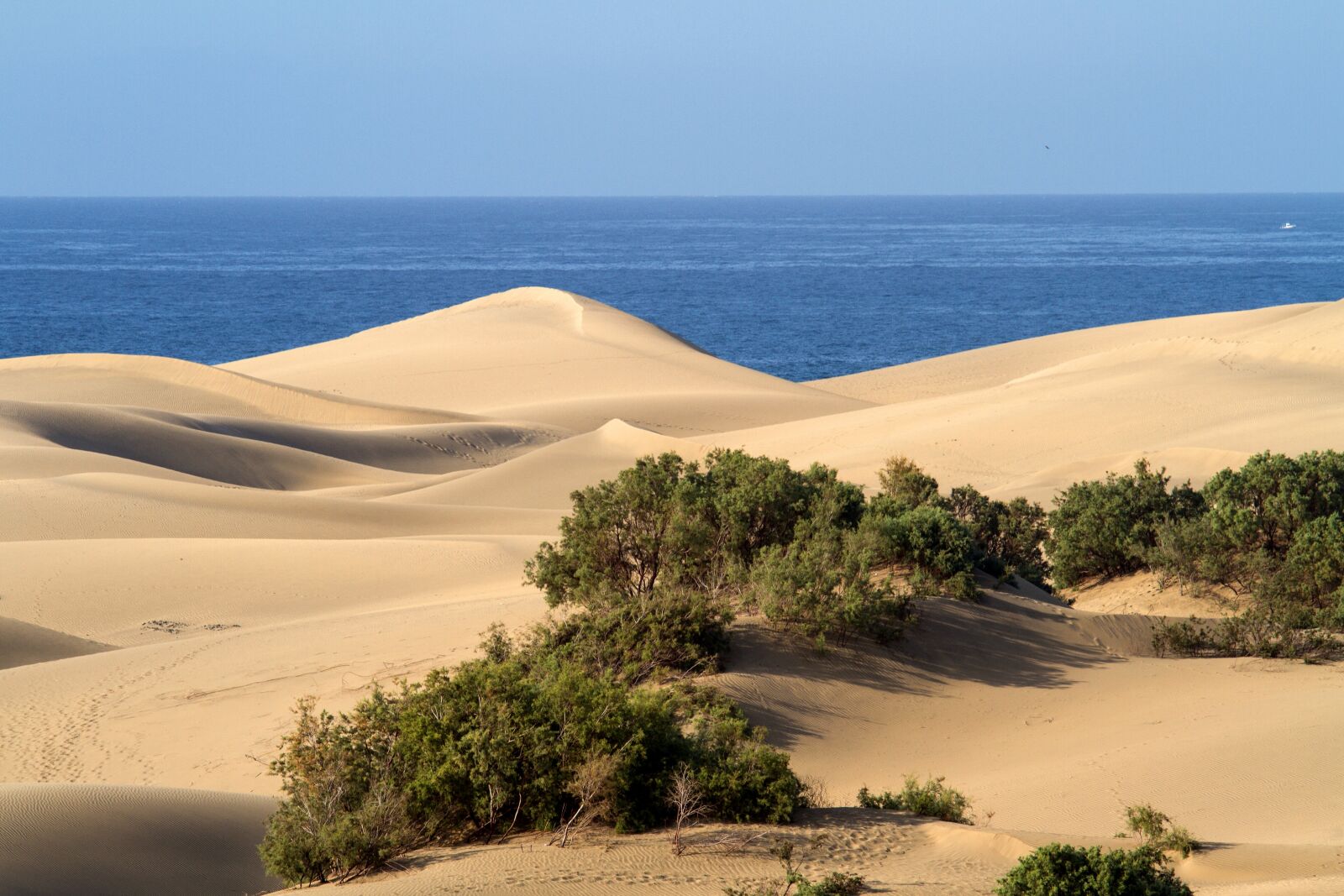Canon EOS 7D sample photo. Gran canaria, sand dunes photography