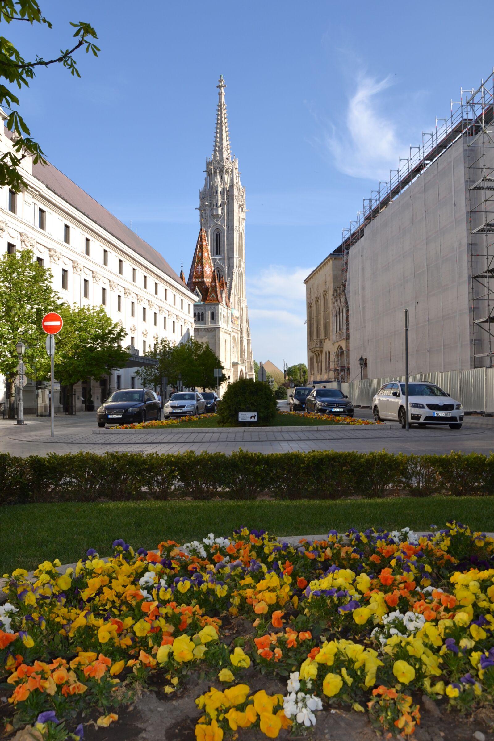 Nikon D3100 sample photo. Buda castle, spring, flowers photography