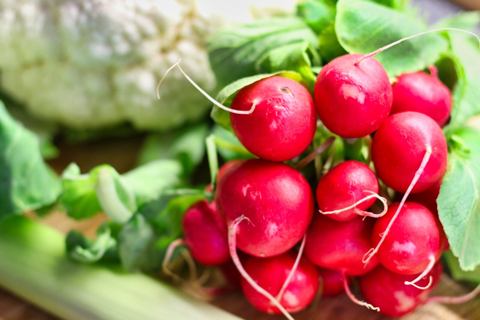 Canon EOS 700D (EOS Rebel T5i / EOS Kiss X7i) sample photo. Radishes, vegetables, vitamins photography