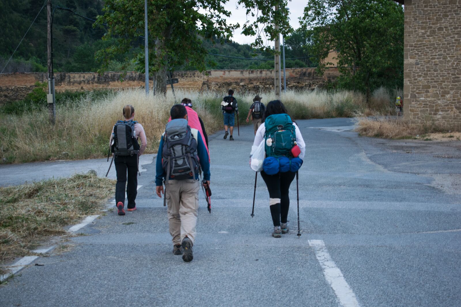 Nikon D3300 sample photo. Spain, santiago path, road photography