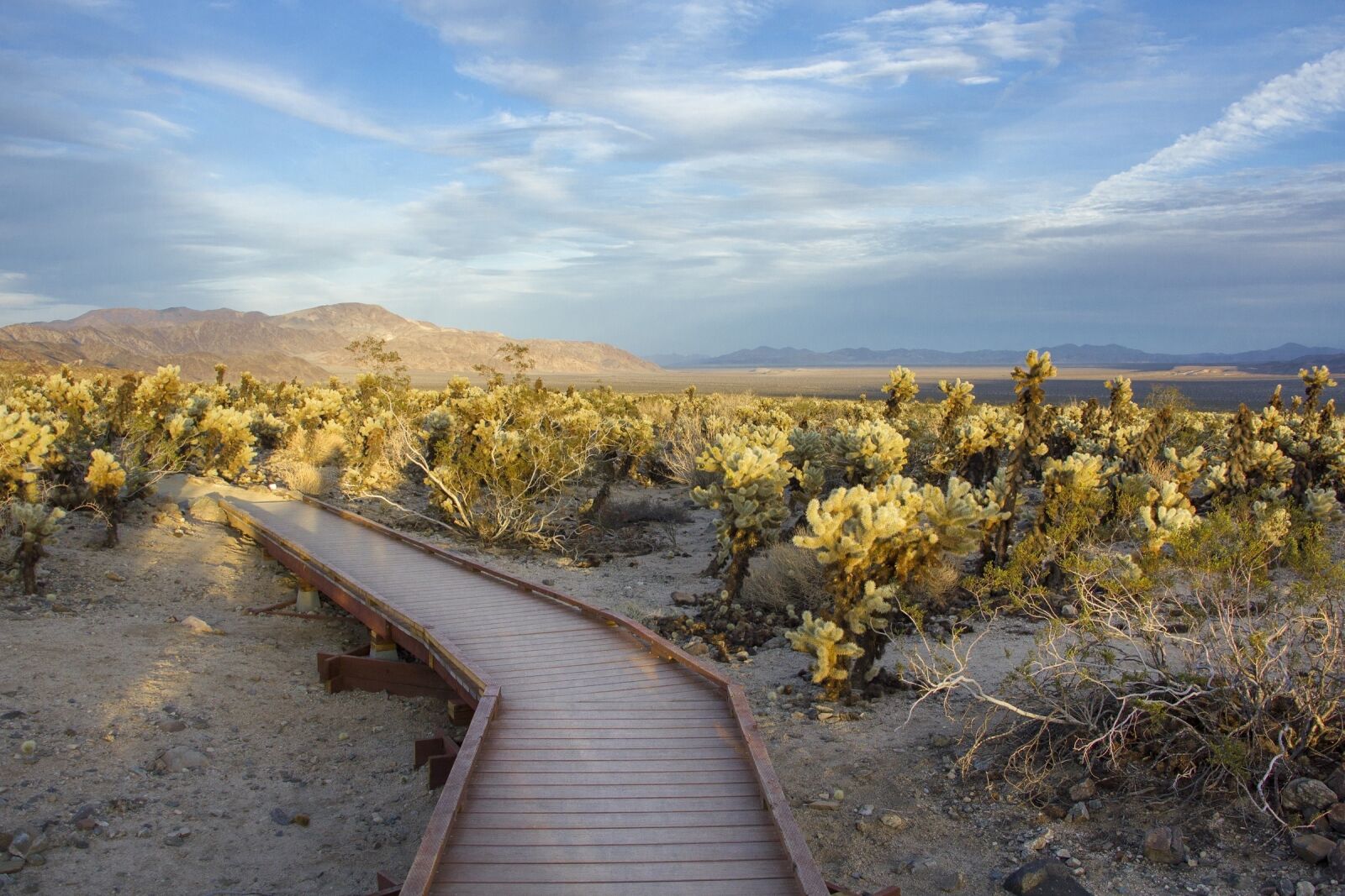 Canon EOS 550D (EOS Rebel T2i / EOS Kiss X4) sample photo. Landscape, scenic, desert photography