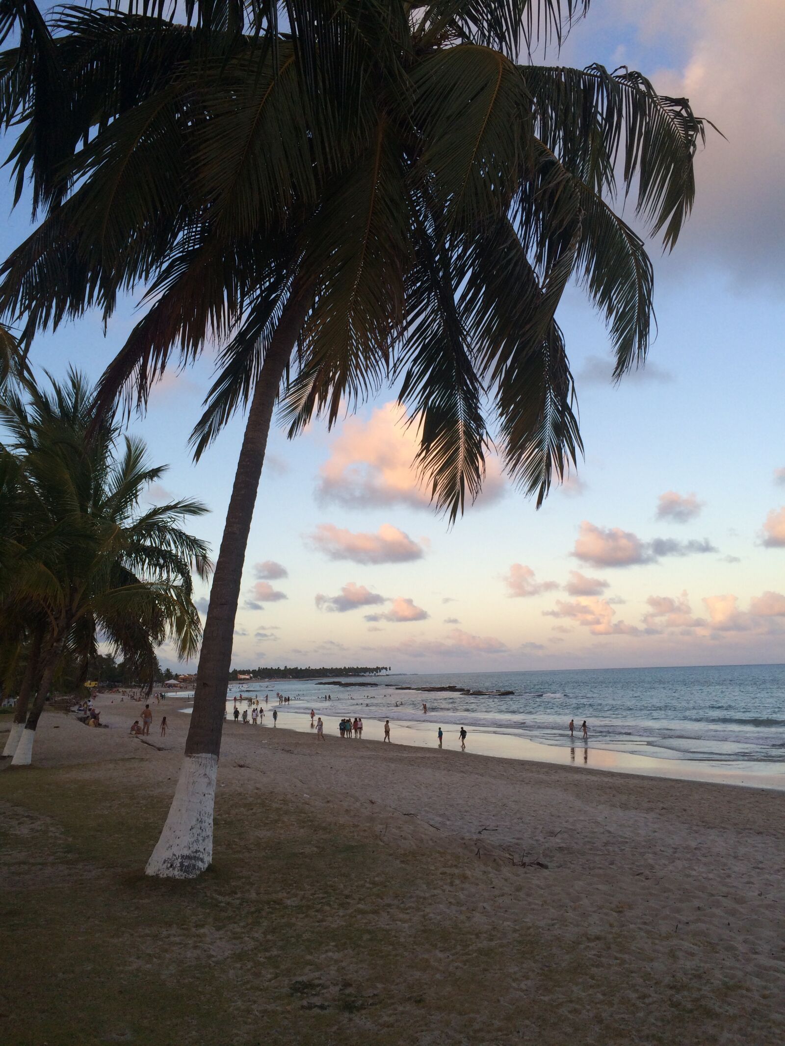 iPhone 5s back camera 4.15mm f/2.2 sample photo. Beach, tamandaré, pernambuco photography