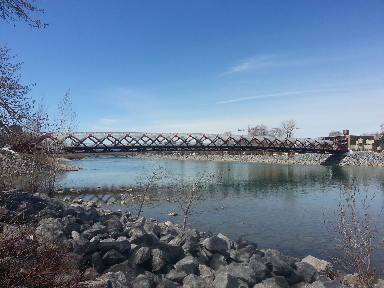 Samsung Galaxy S3 sample photo. Calgary, peace bridge, bridge photography