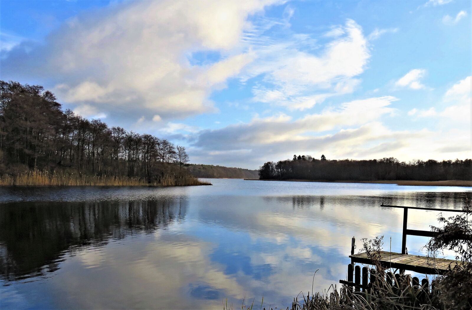 Canon PowerShot SX710 HS sample photo. Lake, landscape, forest photography