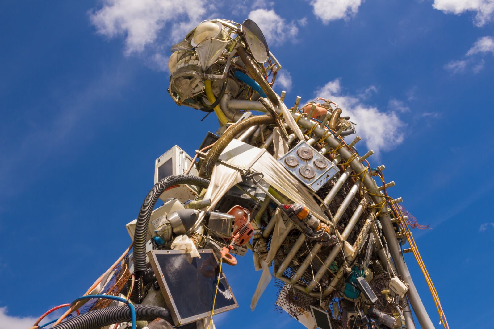 Canon EOS 700D (EOS Rebel T5i / EOS Kiss X7i) sample photo. Sculpture, garbage, monster photography