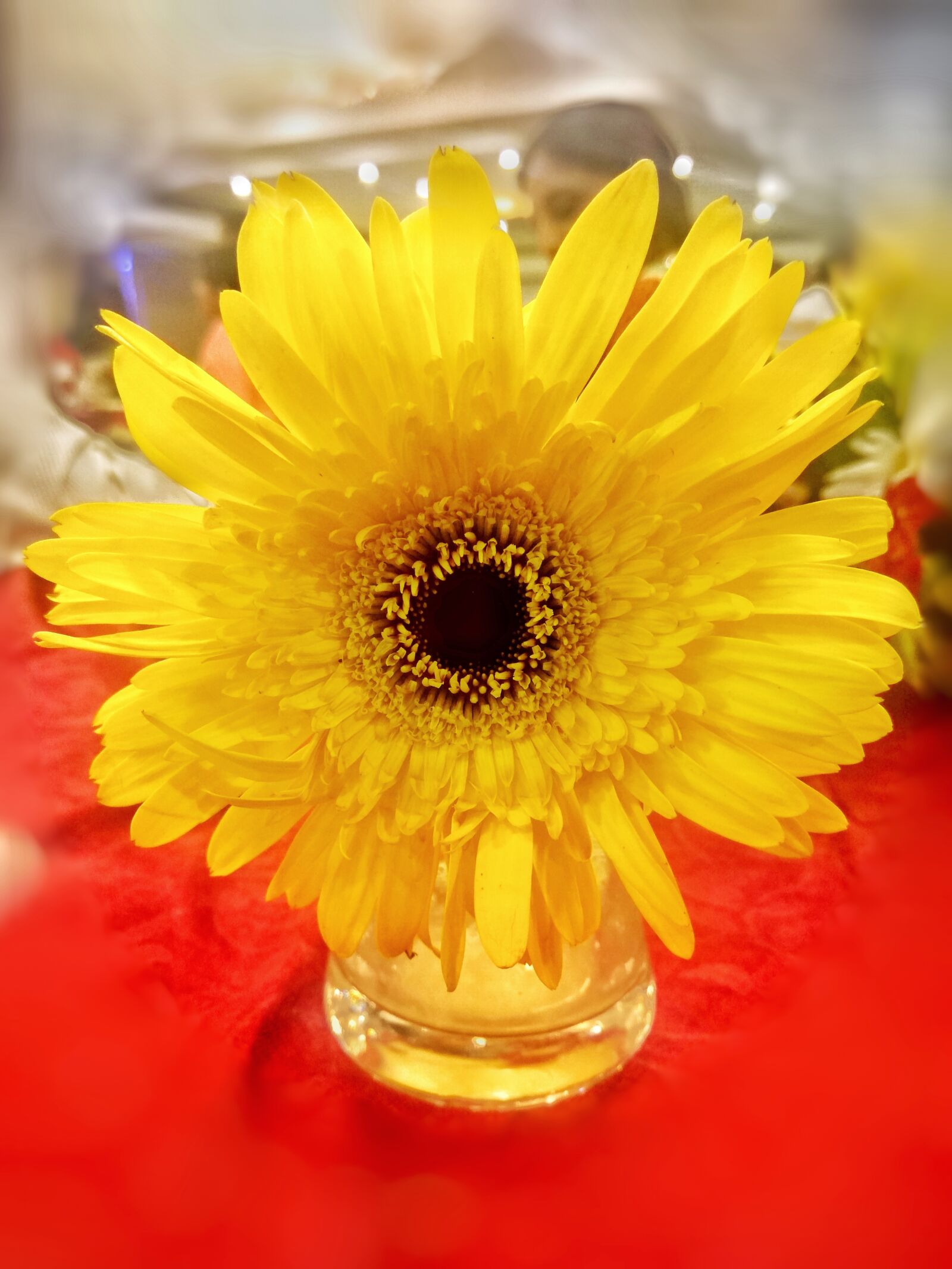 Xiaomi Redmi Note3 sample photo. Sunflower, flower, pot photography