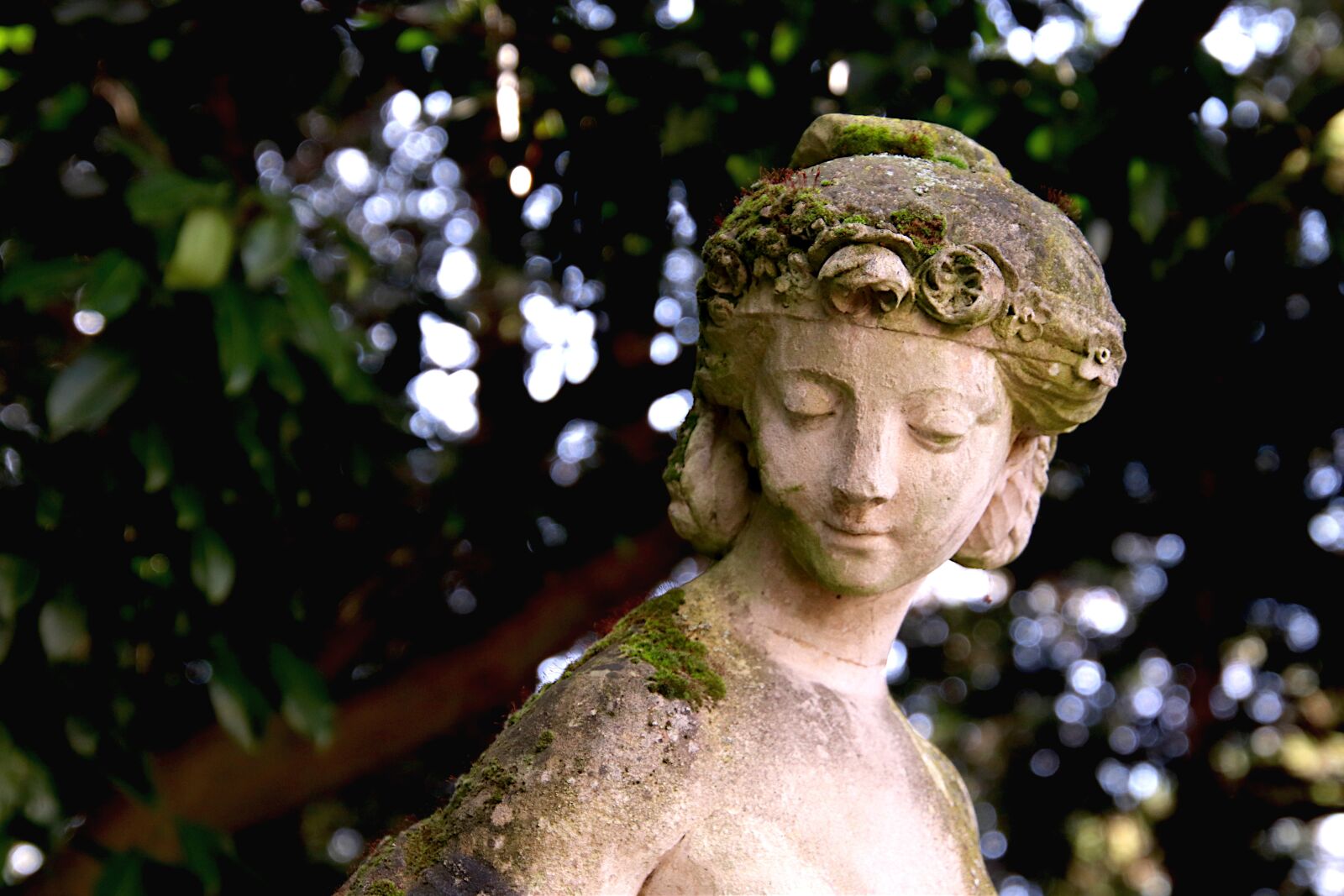 Canon EOS 800D (EOS Rebel T7i / EOS Kiss X9i) sample photo. Sculpture, stone statue, pierre's photography