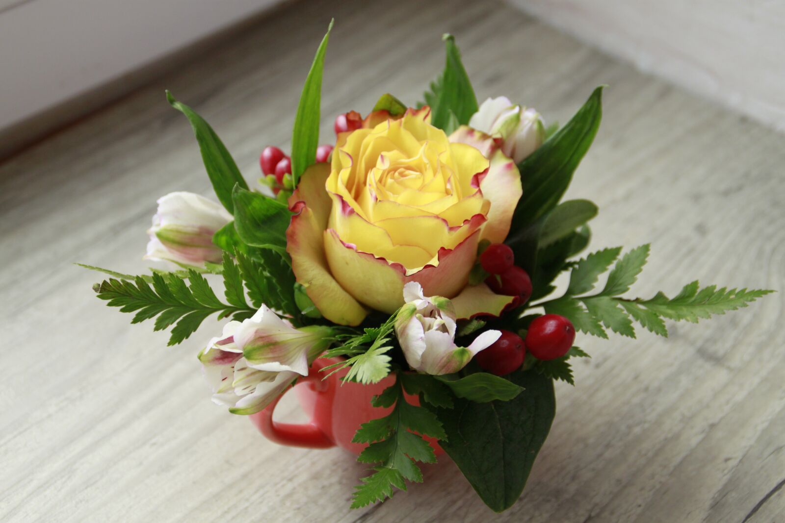 Canon EOS 500D (EOS Rebel T1i / EOS Kiss X3) sample photo. Cup with flowers, flower photography