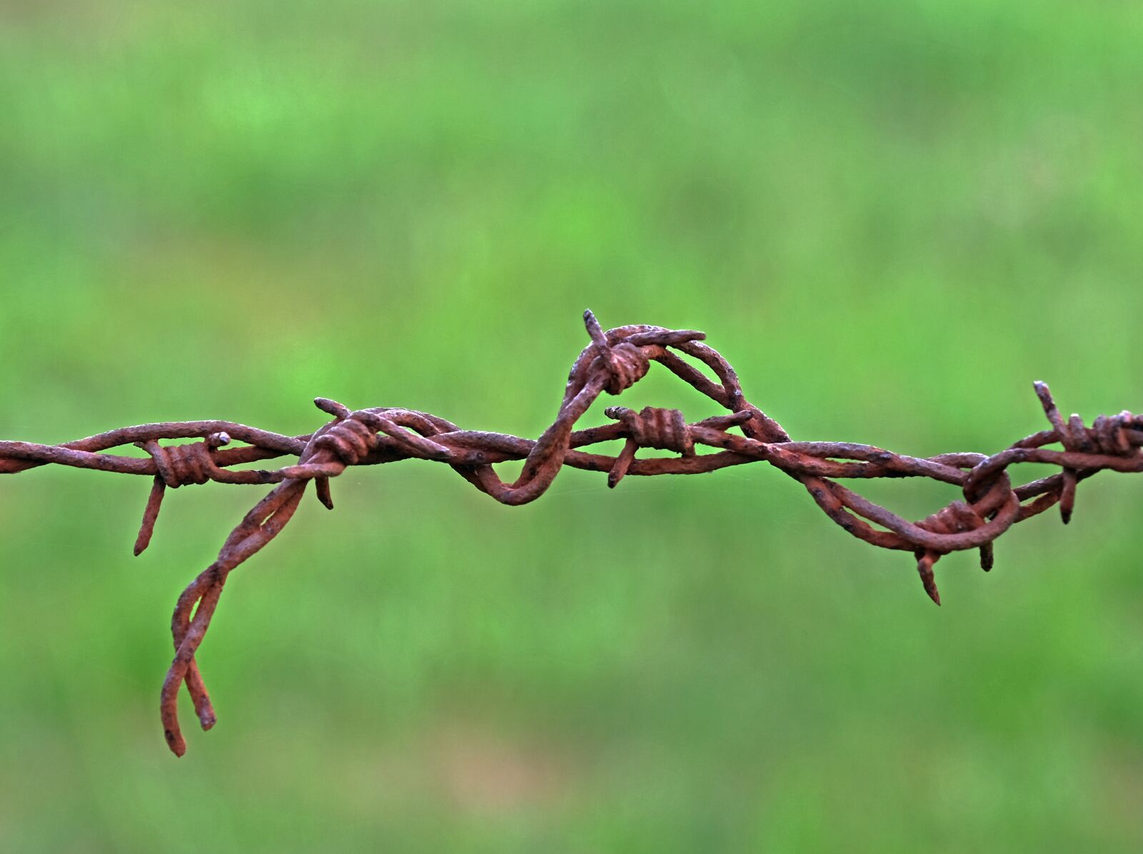 Fujifilm XF 16-80mm F4 R OIS WR sample photo. Barbed wire, brown, rust photography