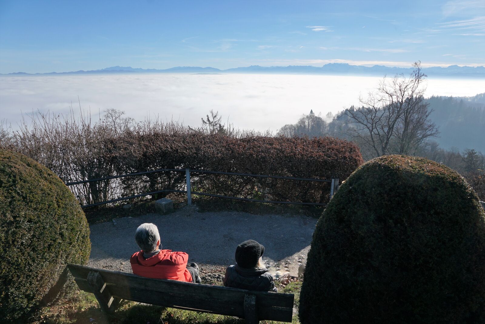 Sony ILCA-77M2 + Sony DT 16-50mm F2.8 SSM sample photo. Fog, sky, nature photography