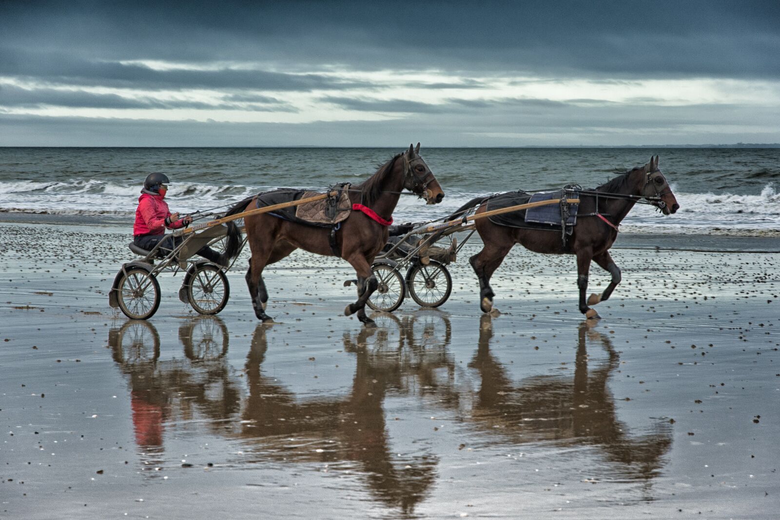 Nikon D5600 sample photo. Sulky, horses, riders photography