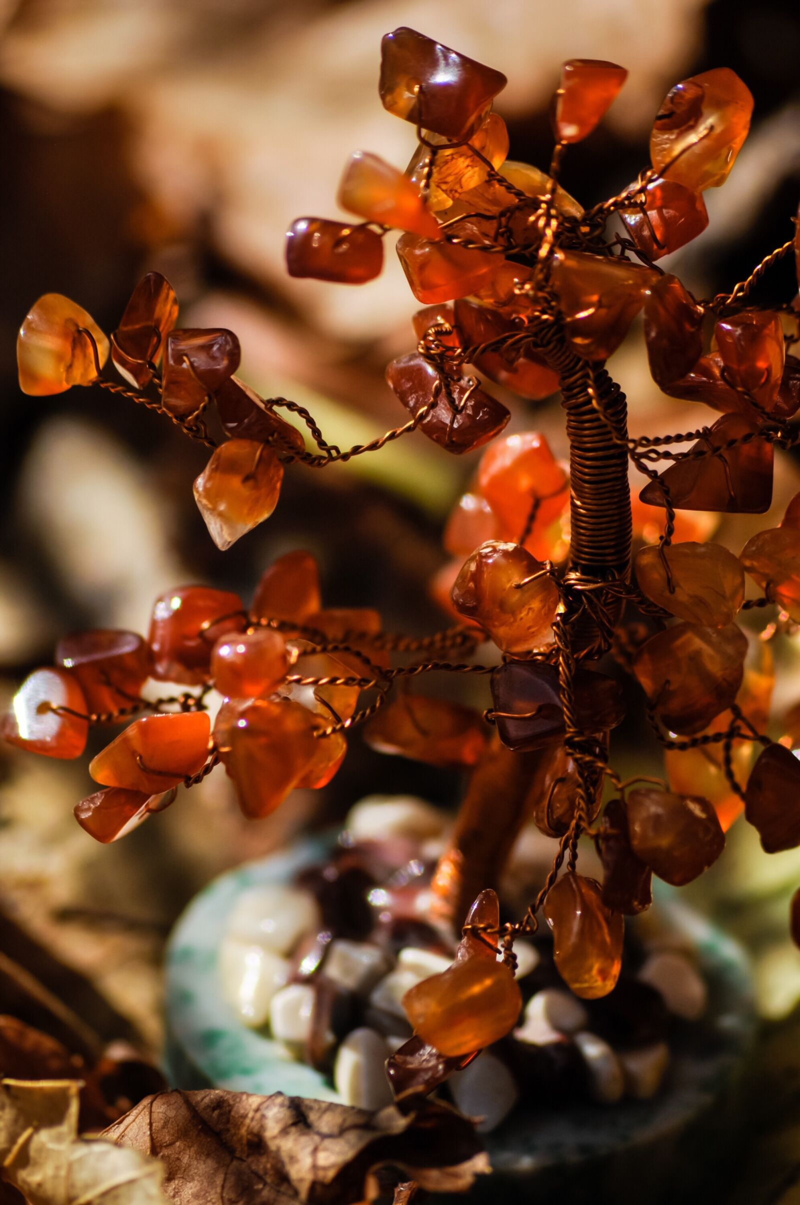 Nikon D90 sample photo. Autumn, orange, leaves photography