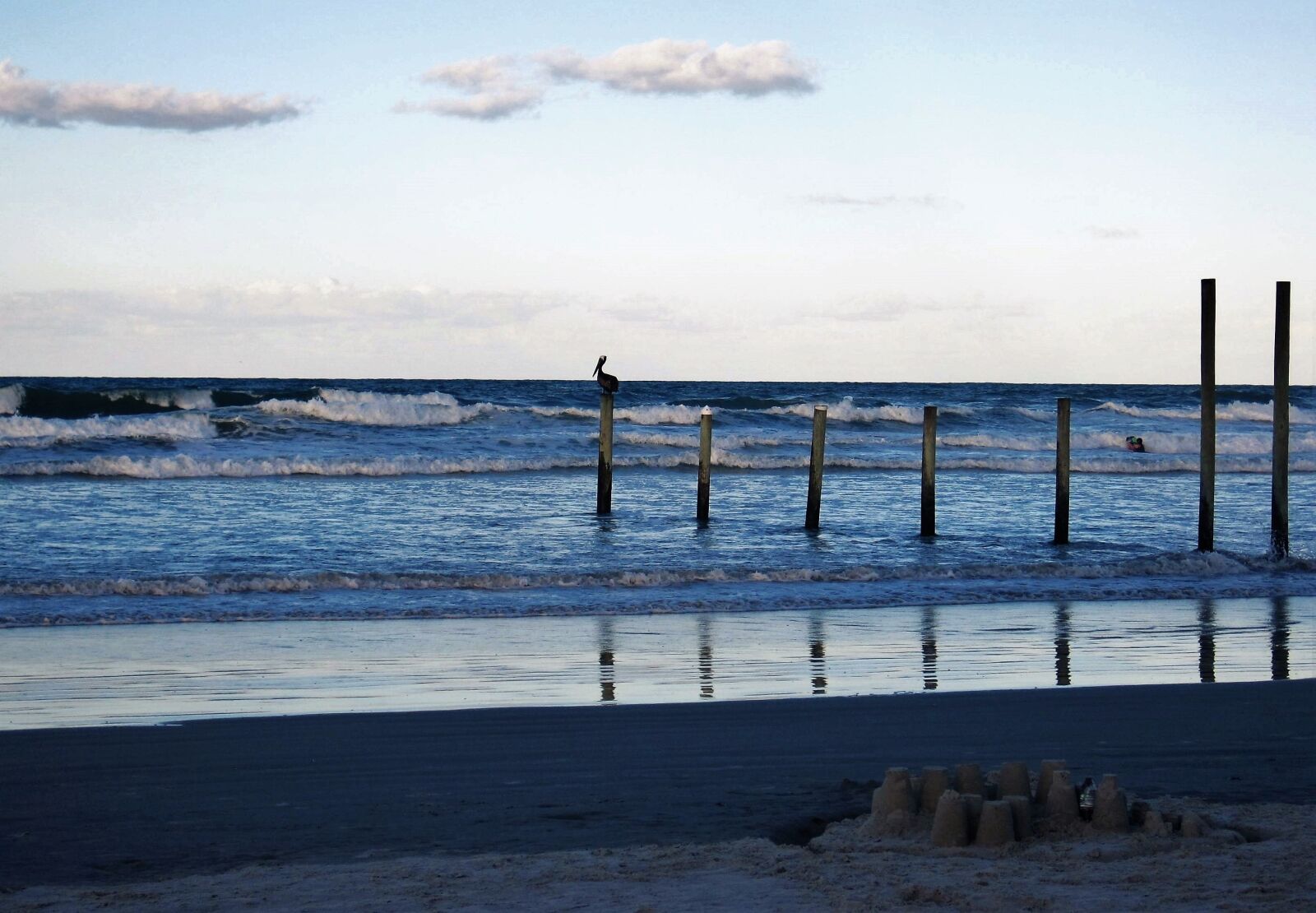 Canon PowerShot SD1200 IS (Digital IXUS 95 IS / IXY Digital 110 IS) sample photo. Florida, atlantic, pelikan photography