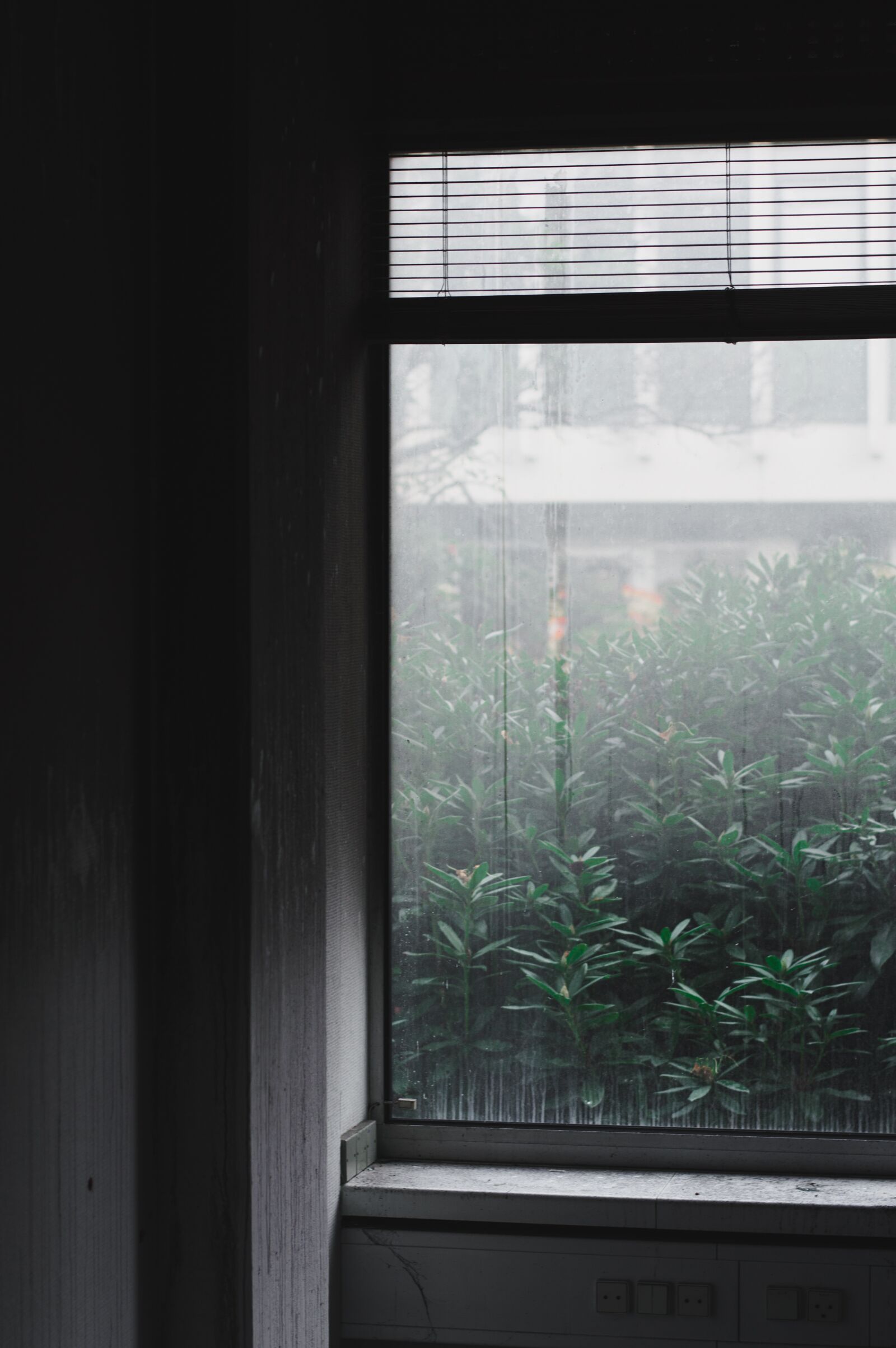 Nikon D3200 sample photo. Window, mood, fog photography