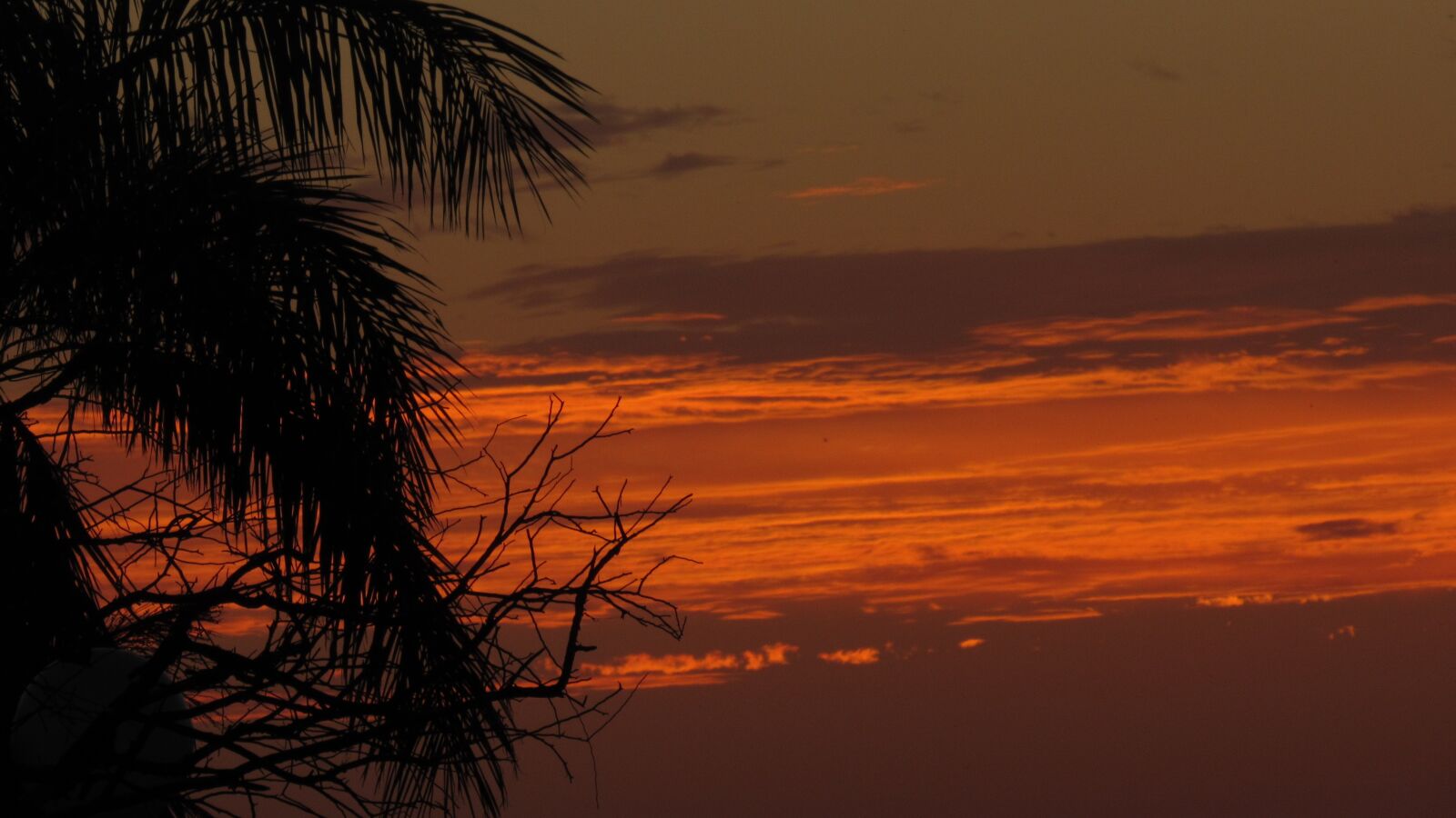 Canon PowerShot SX520 HS sample photo. Sky, sunset, nature photography