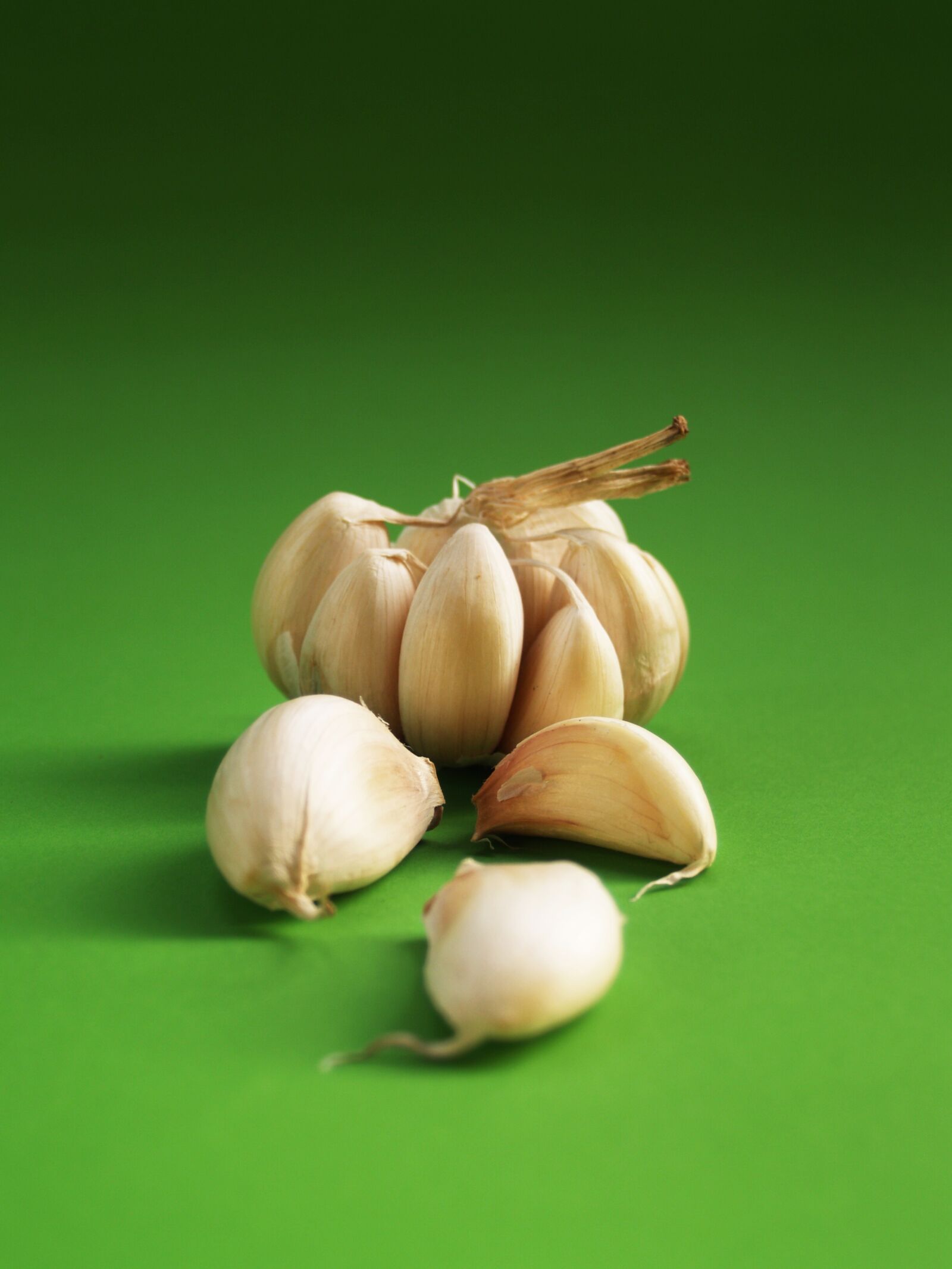 Olympus E-300 (EVOLT E-300) sample photo. Garlic, meals, seasoning photography